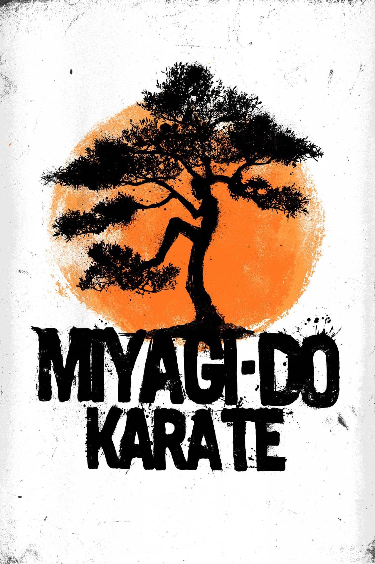 Miyagi Do Karate Wallpapers Wallpaper Cave