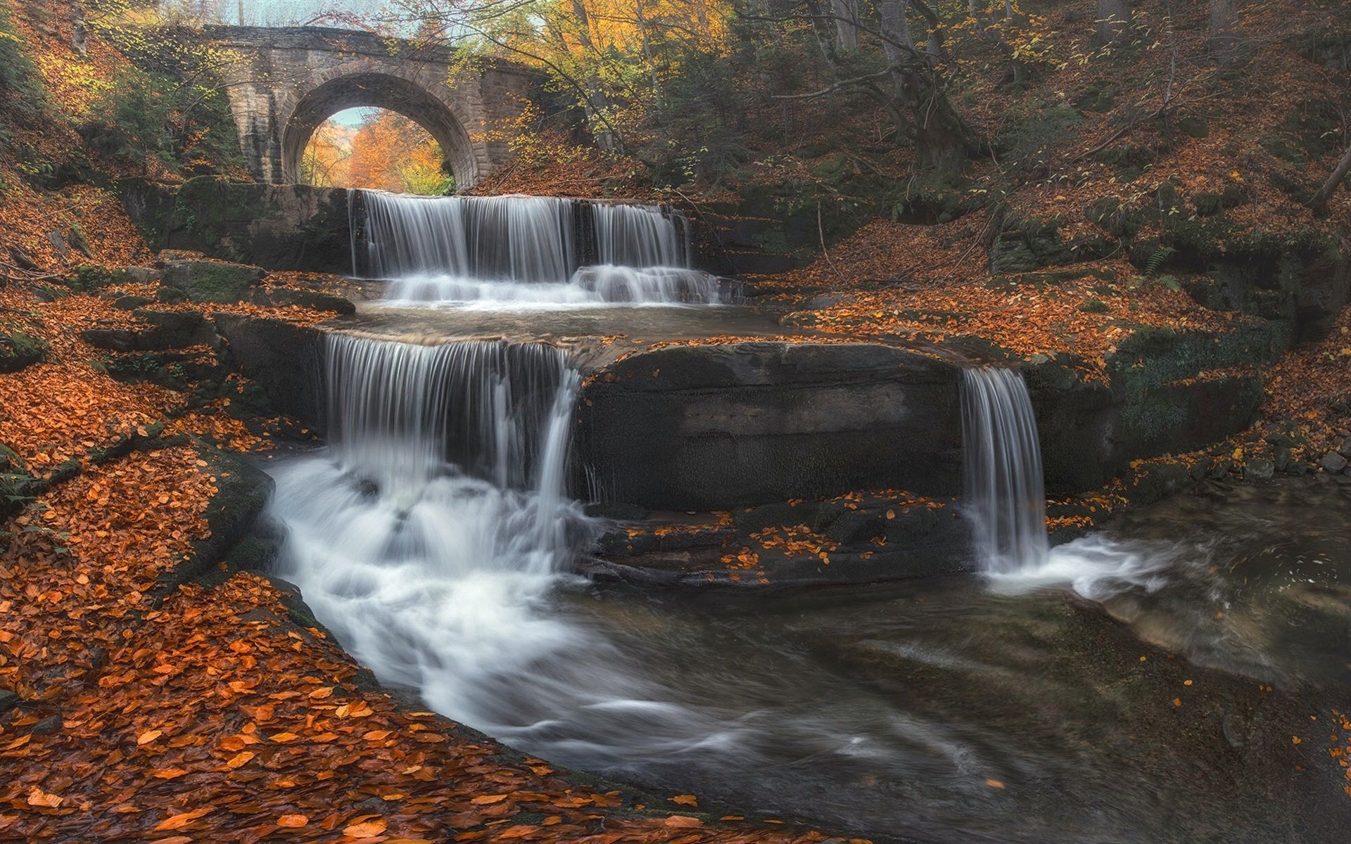 Wallpaper Bulgaria, bridge, waterfall, leaves, trees, autumn 1920x1200 HD Picture, Image