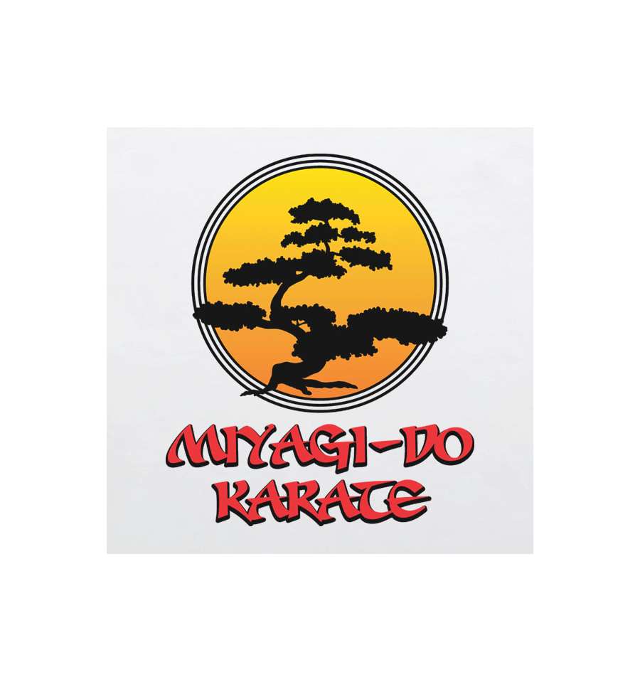 Karate kid Logos