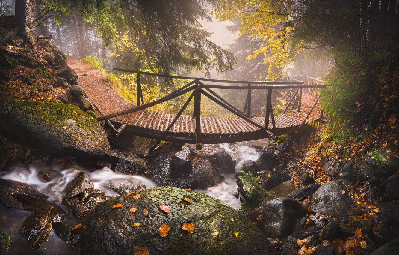 Wallpaper autumn, leaves, trees, mountains, nature, stream, stones, track, the bridge, Bulgaria, Vitosha image for desktop, section природа