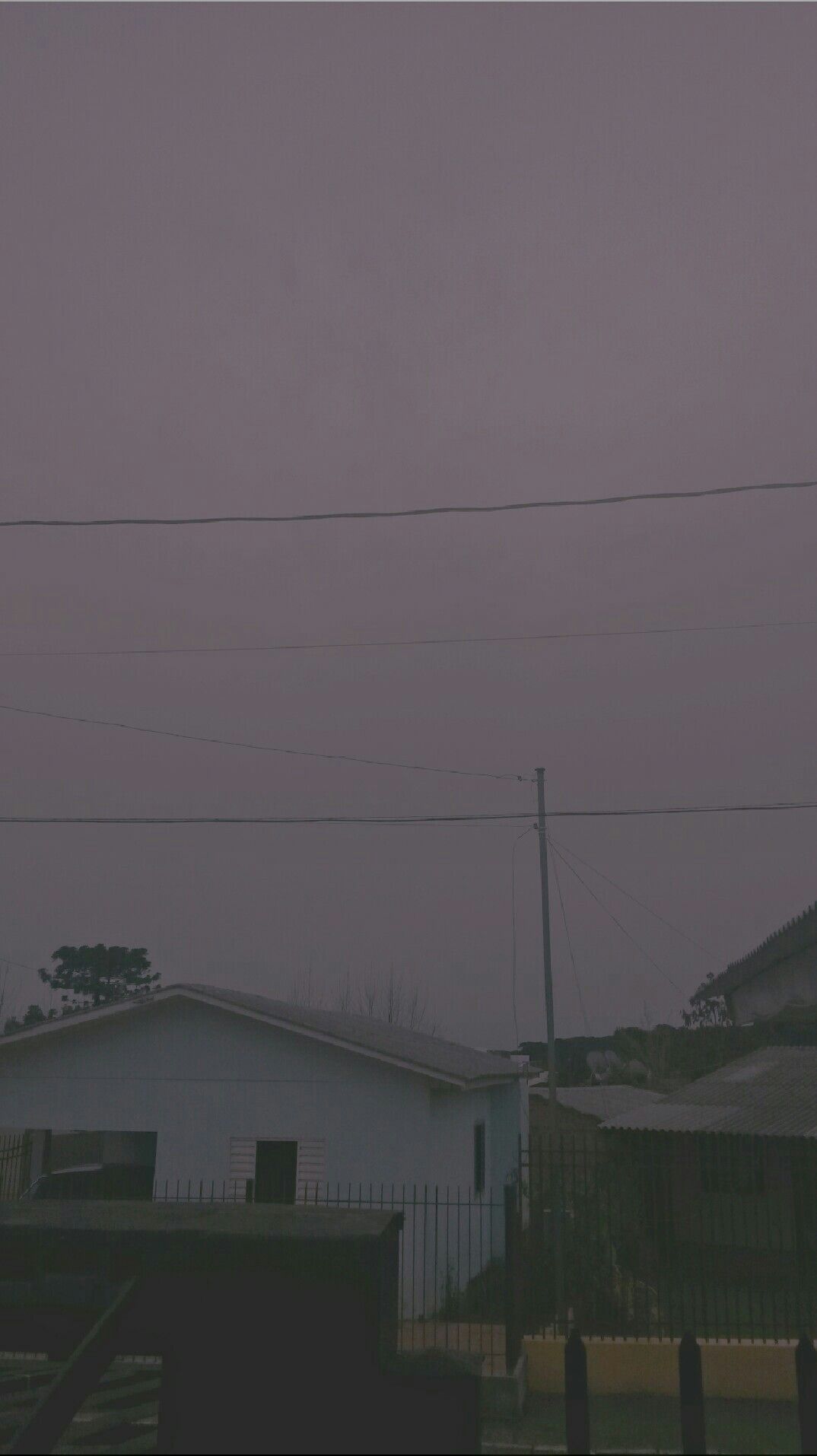 Film Photography Wallpaper