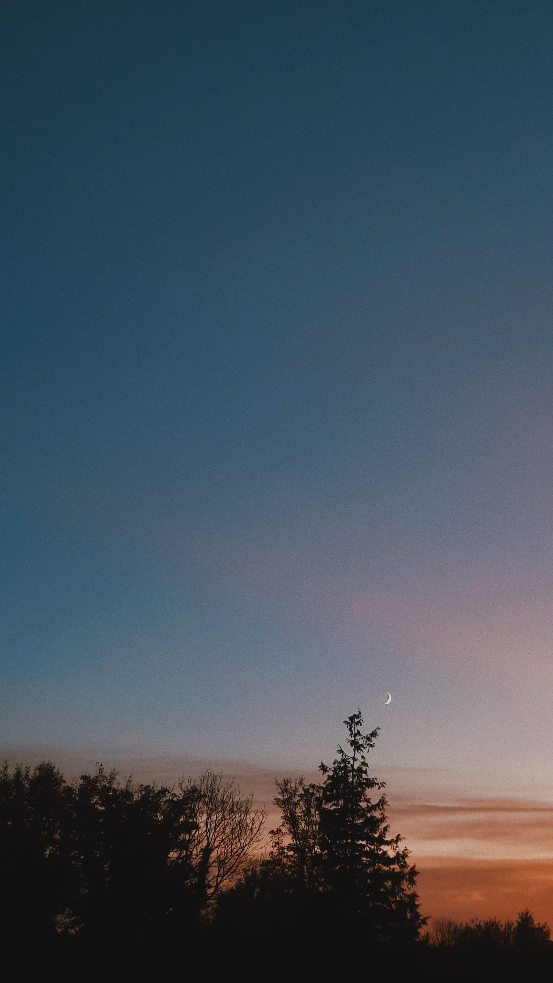 wallpaper #iphone #android. Fotografi alam, Latar belakang, Foto alam