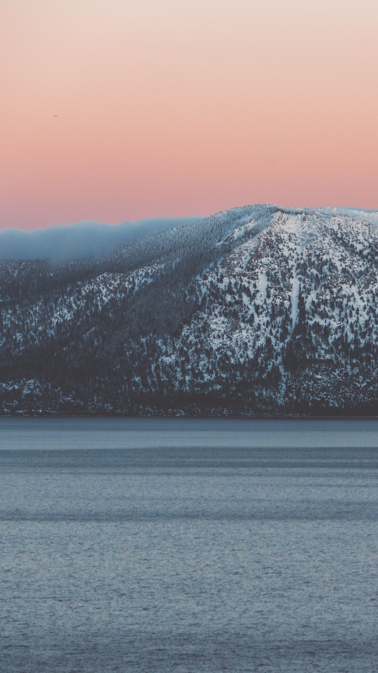 Wallpaper of the Month