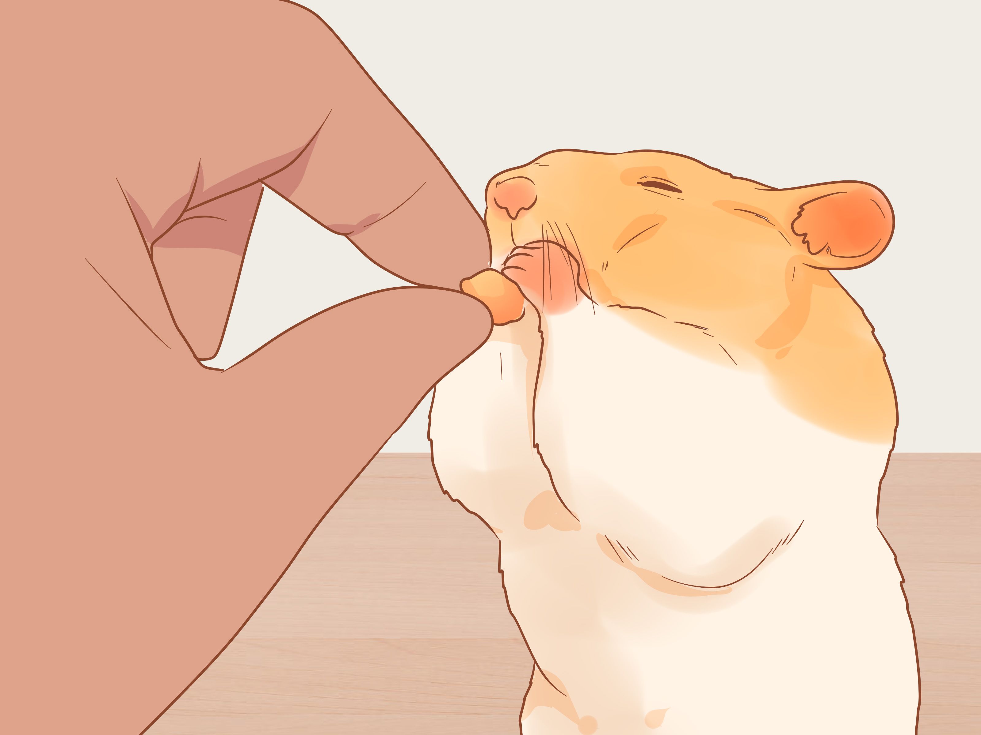 How to Decide Between Syrian and Dwarf Hamsters: 7 Steps