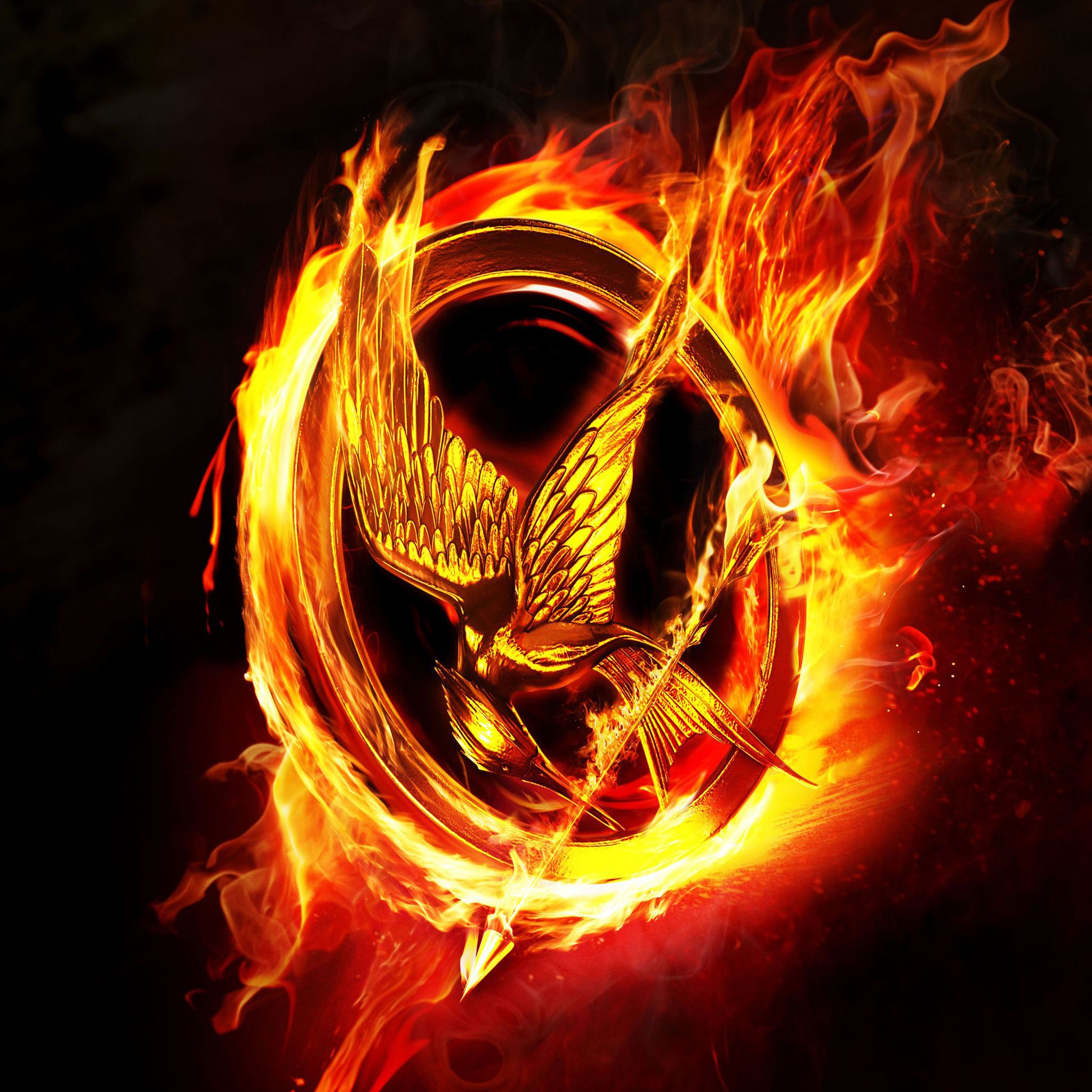 Hunger Games Wallpaper for iPad