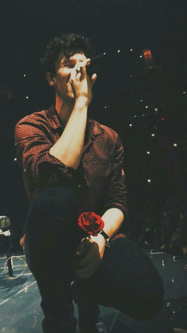 Shawn Mendes. Shawn mendes tumblr, Shawn mendes concert, Shawn