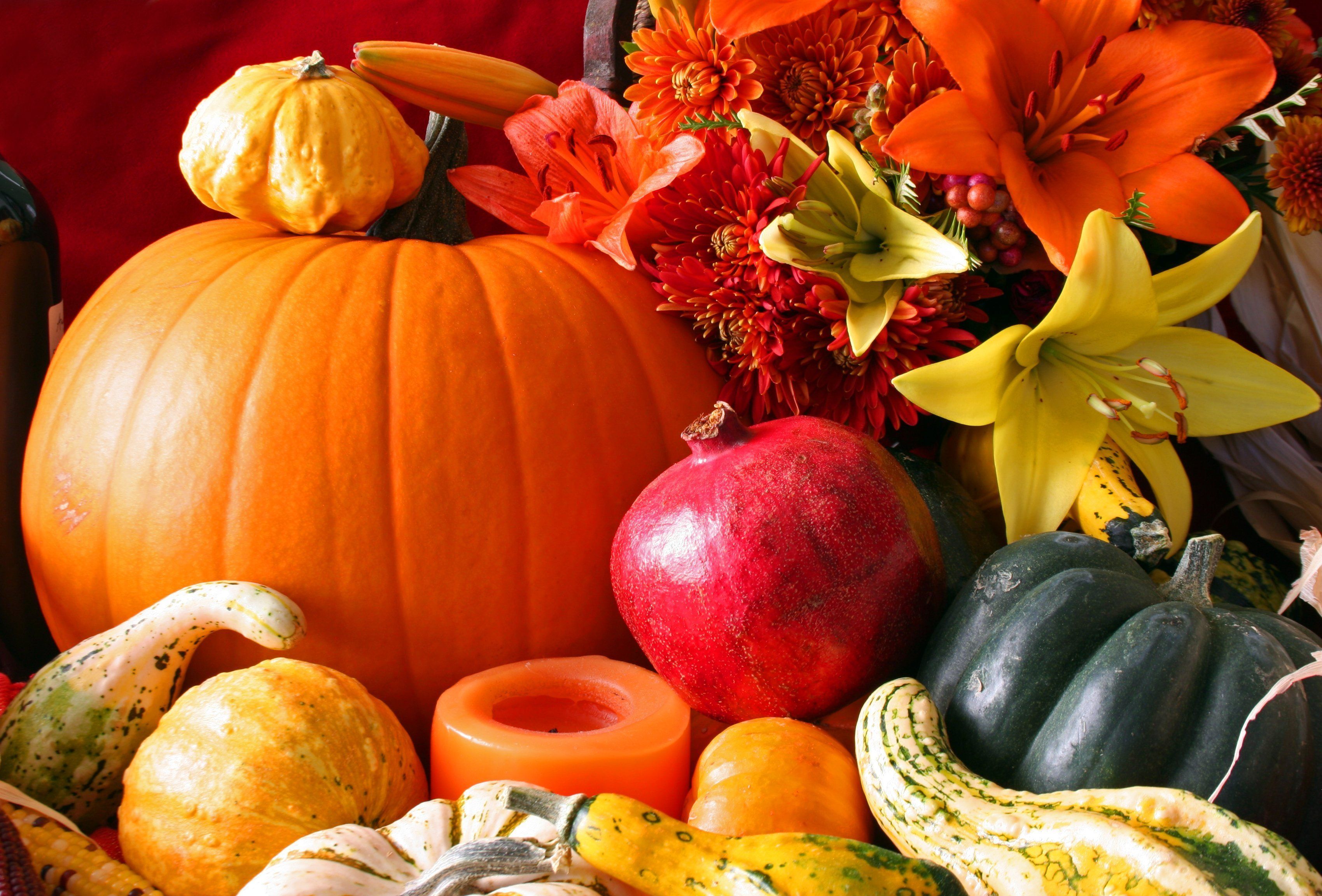 Fall Harvest Wallpaper Desktop Background. Fall harvest, Pumpkin, Harvest