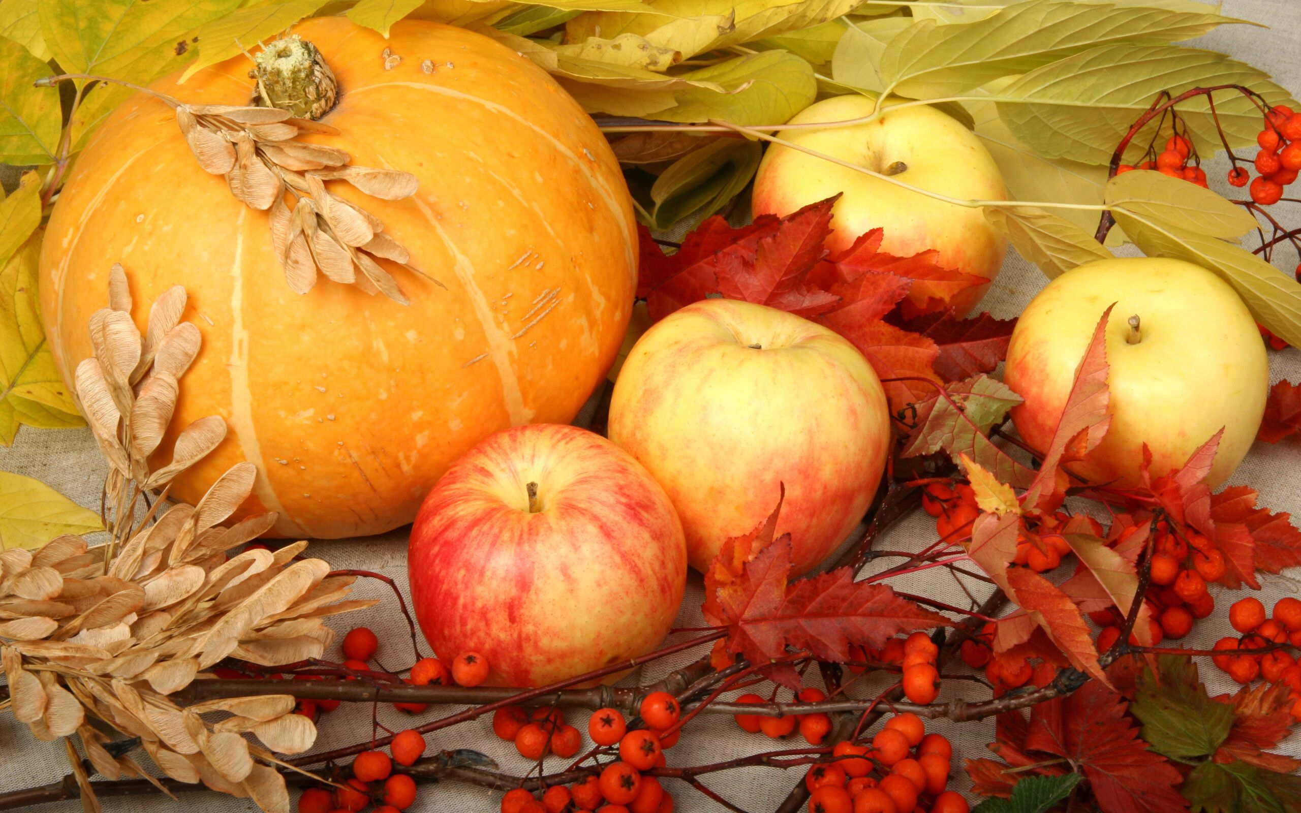 Delicious and sweet apples and pumpkins