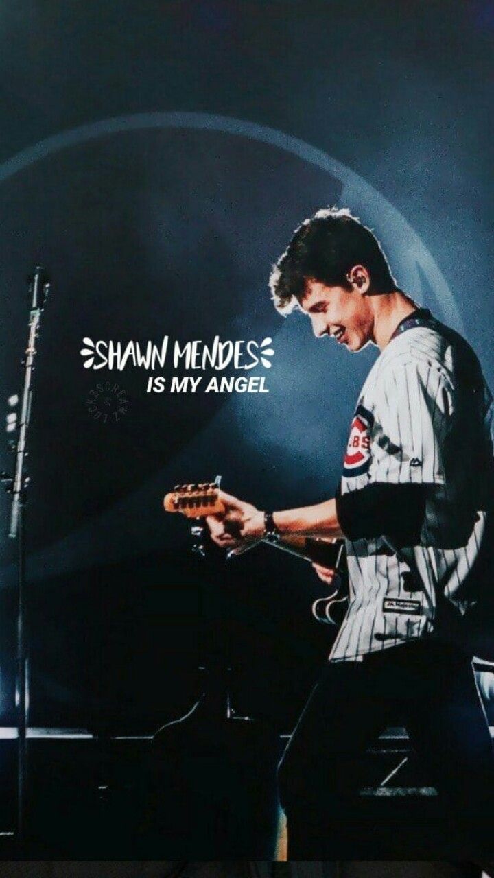 Shawn Mendes Concert, Download Wallpaper