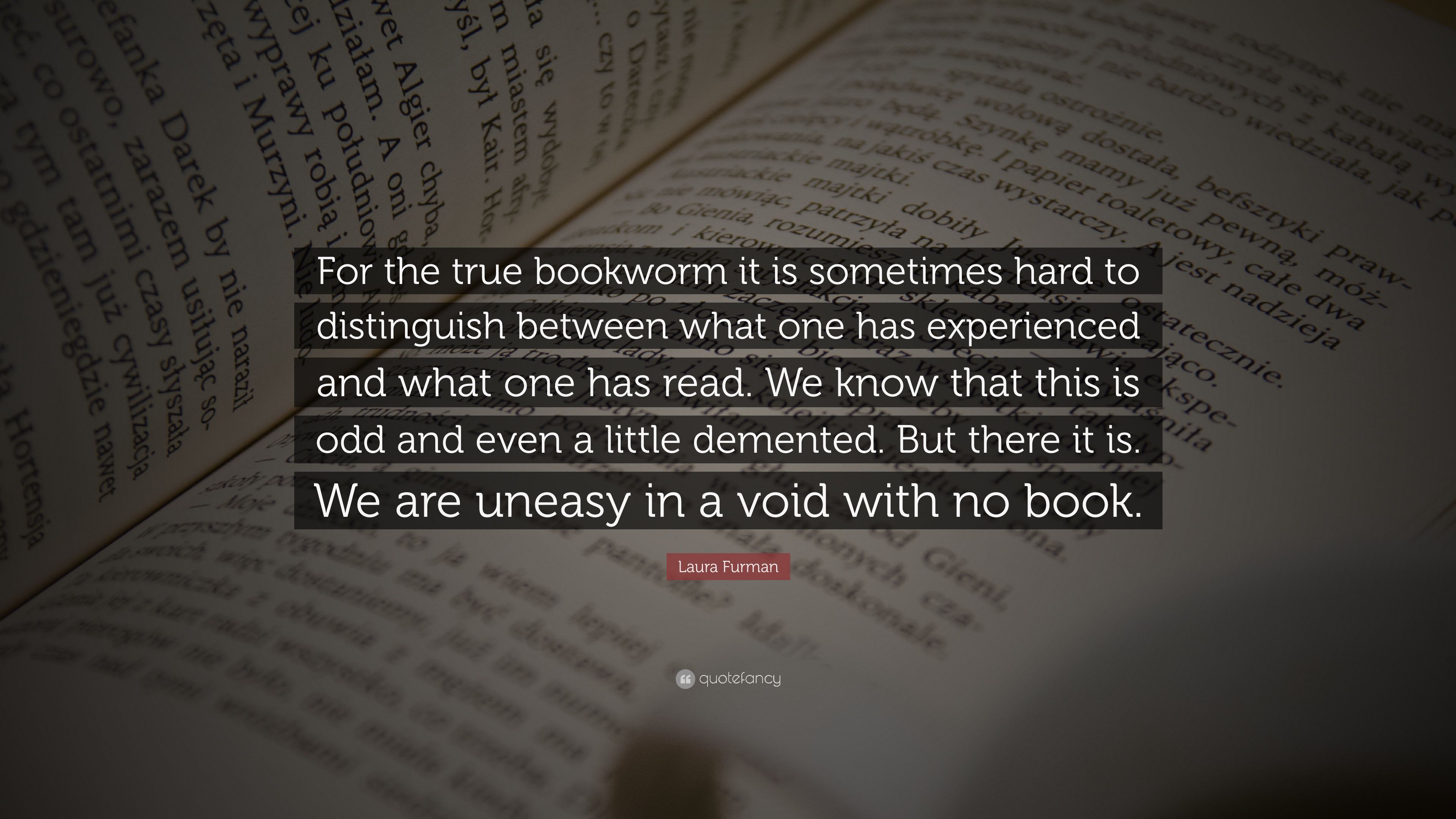 Bookworm HD wallpapers  Pxfuel