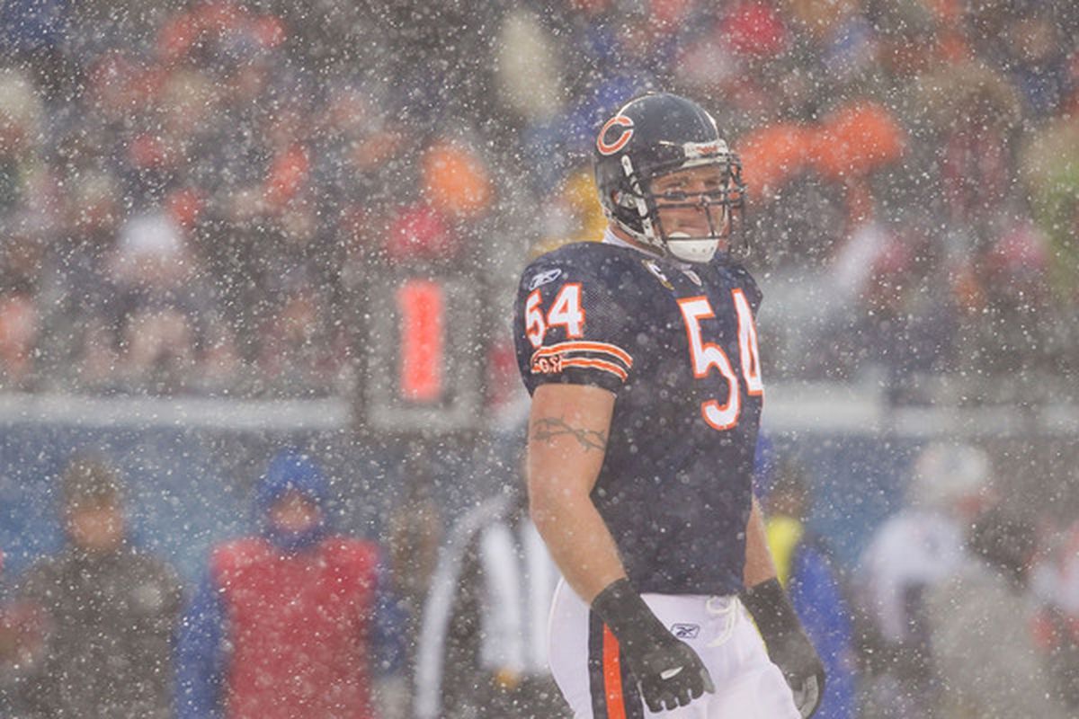 Brian Urlacher Wallpapers - Wallpaper Cave