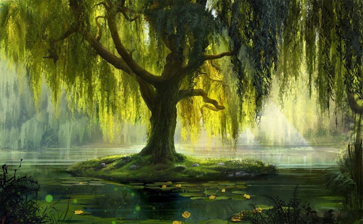 Weeping Willow Wallpaper