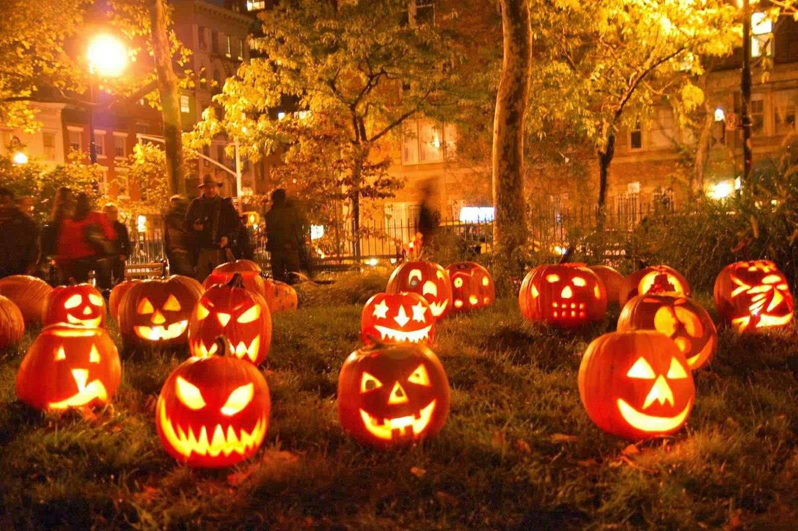 Halloween, Halloween, Lights, Natural, Tree, Yellow, Events