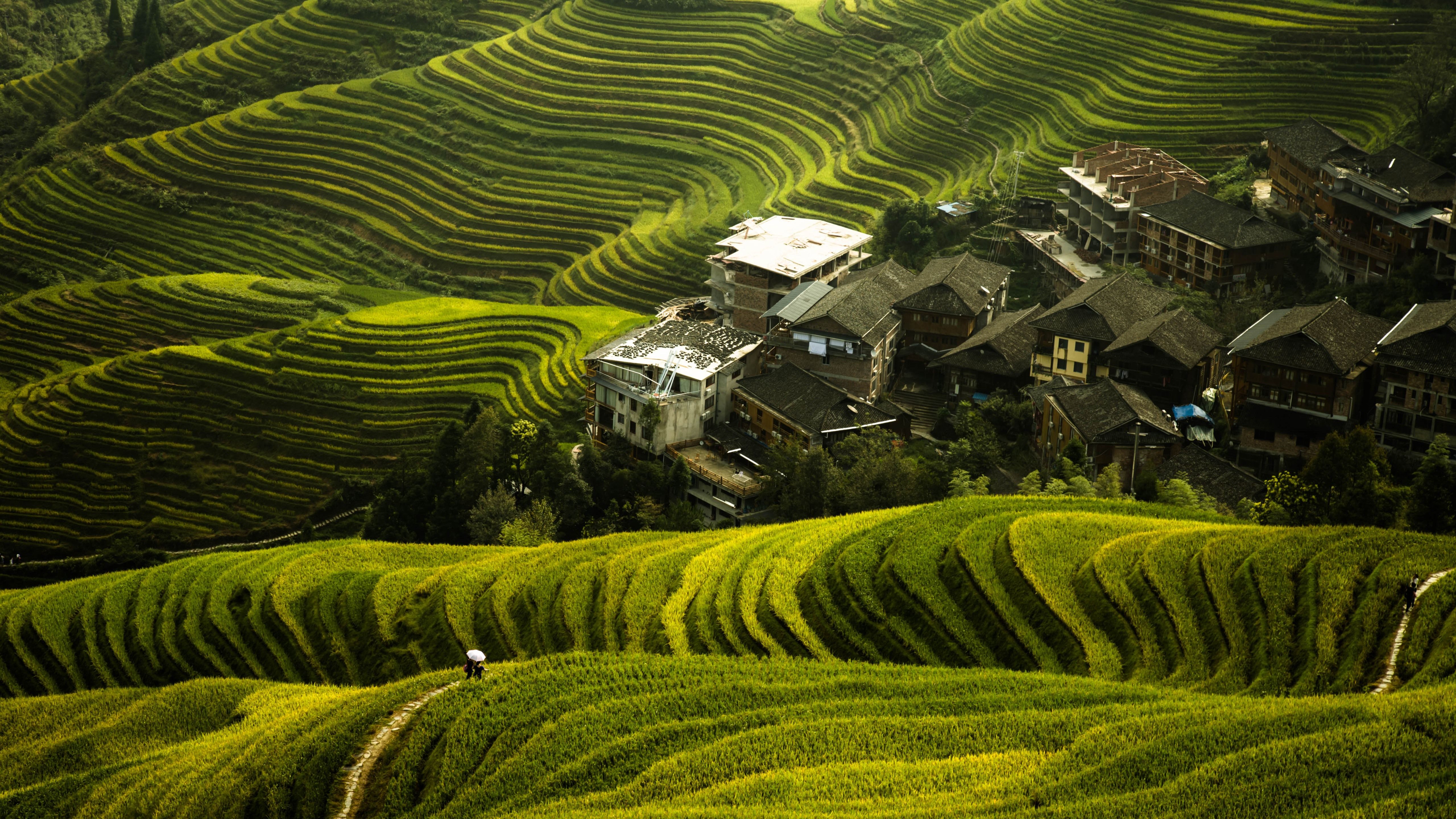Wallpaper Beautiful Longji rice terraces, village, Guilin, China 5120x2880 UHD 5K Picture, Image