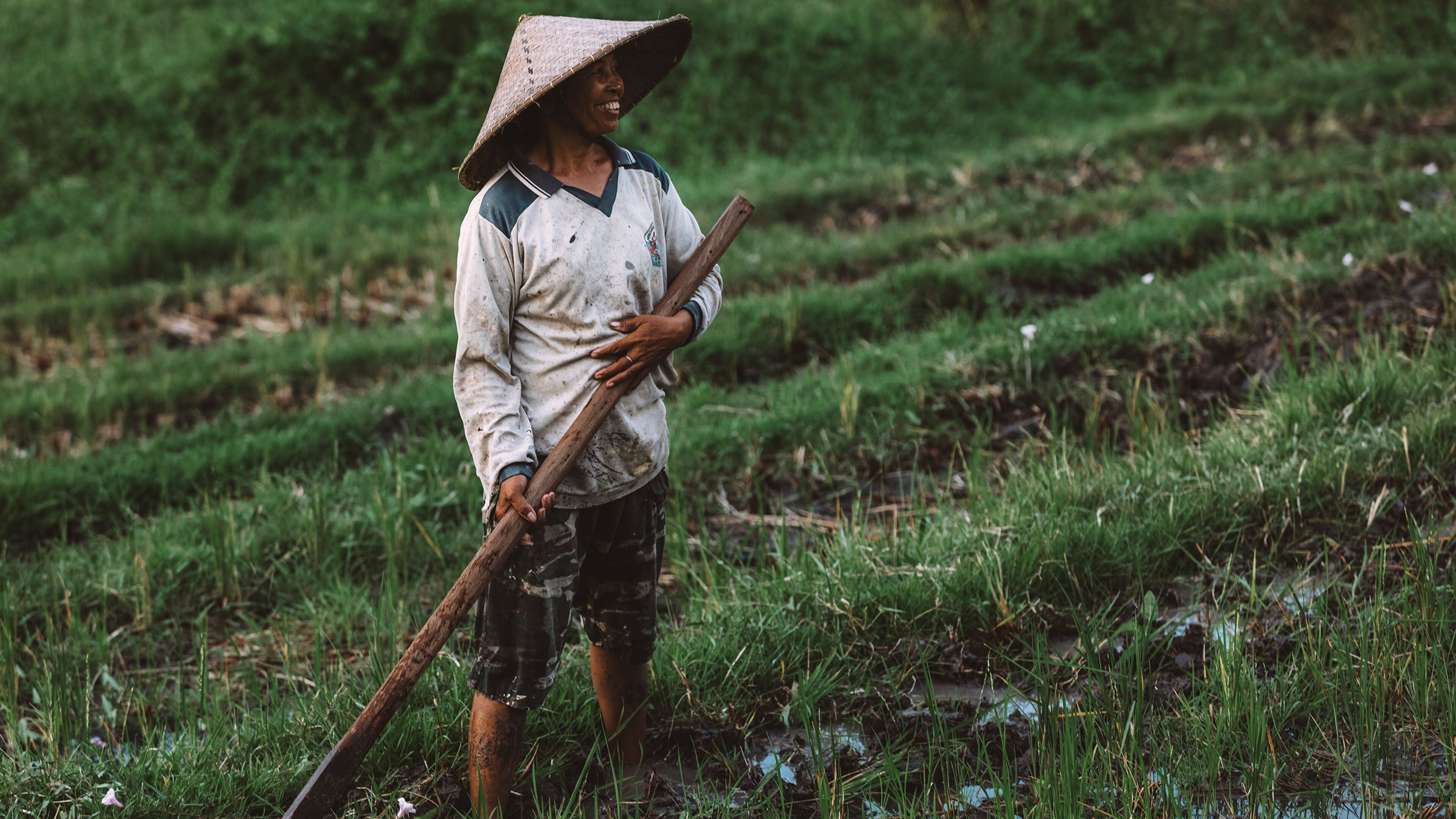 Happy farmer tending to his rice field, Bali, Indonesia (Photo credit to Maksym Ivashchenko) [3840 x 2160]