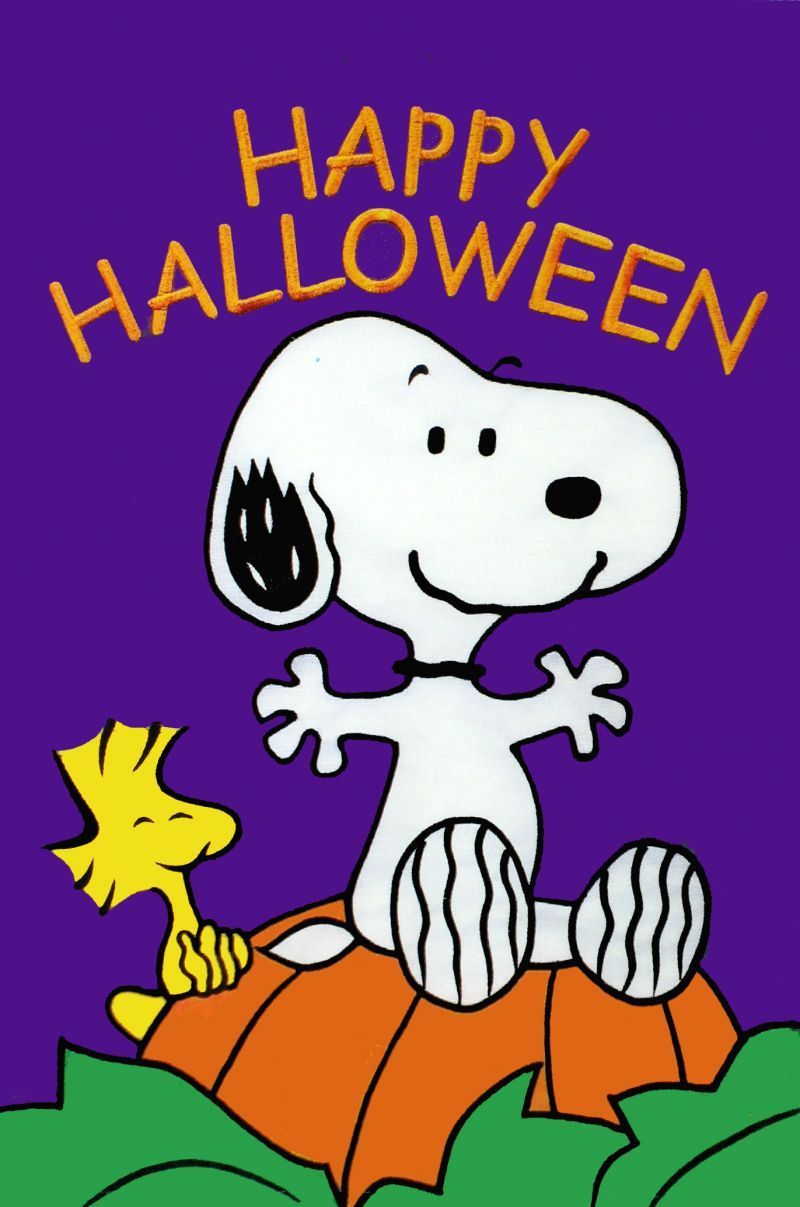 Snoopy World: Snoopy Items. Snoopy halloween, Charlie brown halloween, Halloween wishes