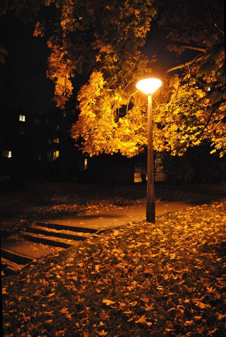 Autumn Night. Autumn night, Night aesthetic, Night photography
