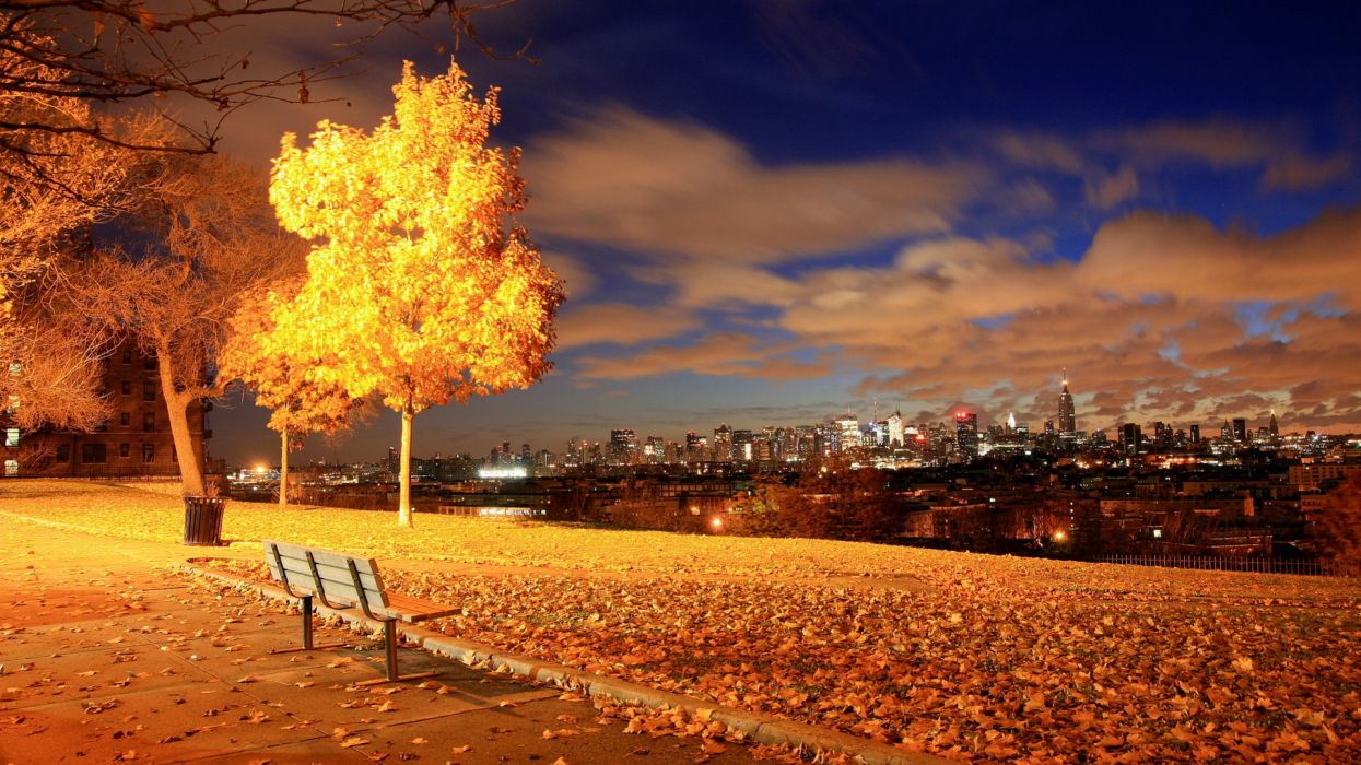 Skyline cityscape nature garden park bench trees night lamp post light sutumn fall leaves wallpaperx2160