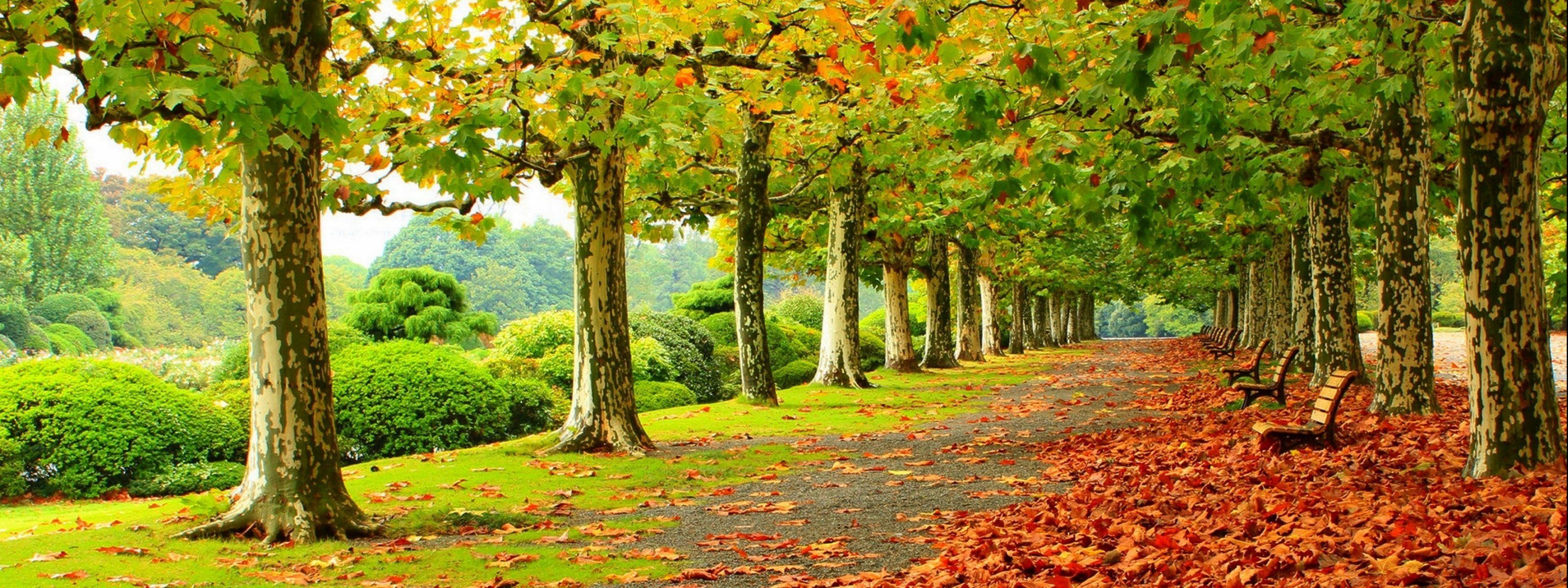 Autumn Dual Monitor Wallpapers Wallpaper Cave Autumn Dual Monitor Wallpapers Wallpaper Cave