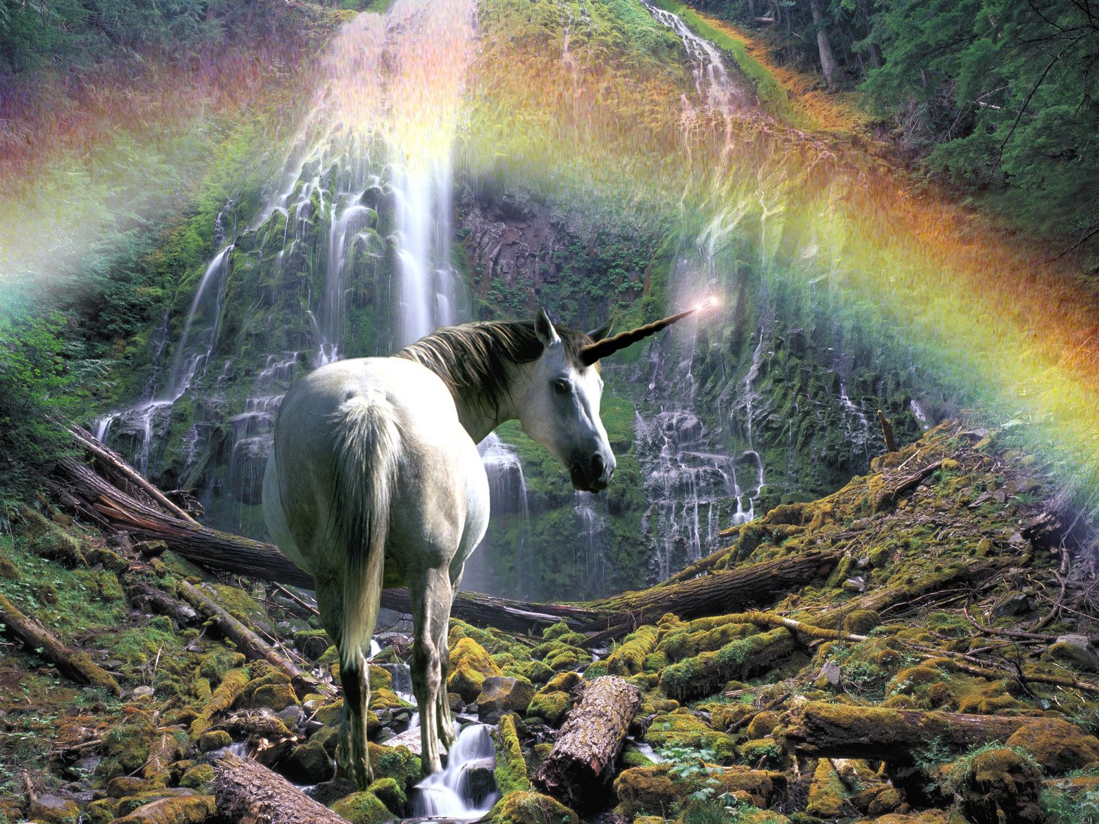 Wallpaper rainbow, horse, unicorn, falls, waterfall desktop wallpaper Animals GoodWP.com