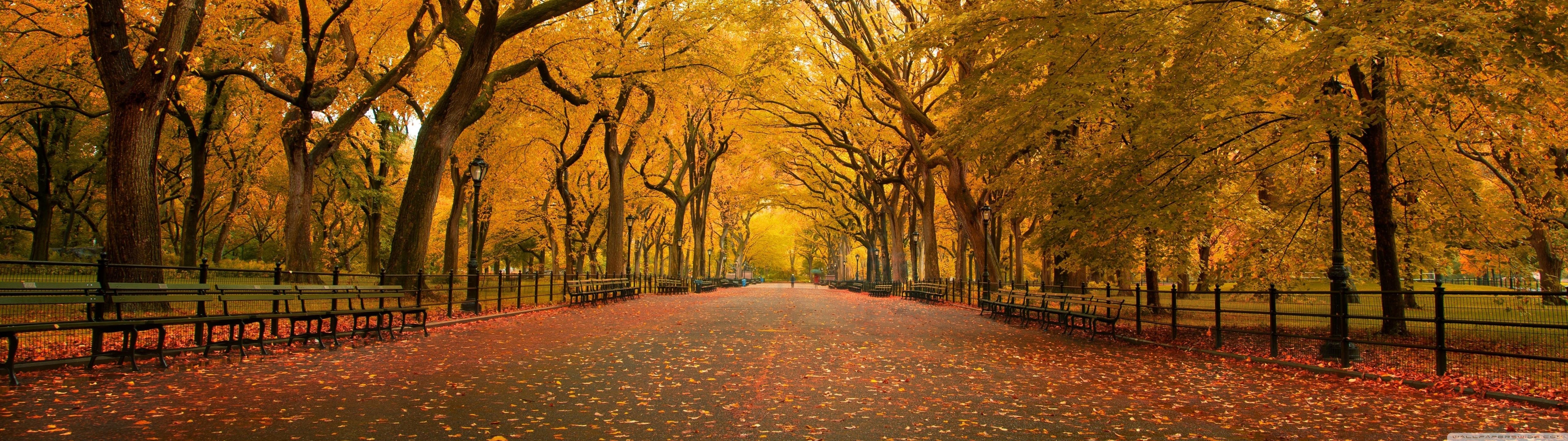 Mùa thu là khoảng thời gian đẹp nhất trong năm. Cây cối chuyển màu, gió nhẹ vàng lá, tất cả tạo nên một bức tranh thiên nhiên tuyệt đẹp. Hãy để hình nền mùa thu mang bạn vào cảm giác ấm áp và lãng mạn của mùa thu.