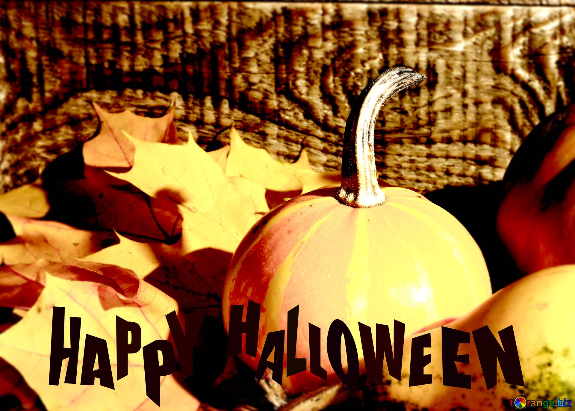 Descargar Foto Gratis Wallpaper For Desktop Pumpkins And Autumn Leaves Happy Halloween En CC BY Licencia Stock De Imágenes Gratis TOrange.biz Fx №193739