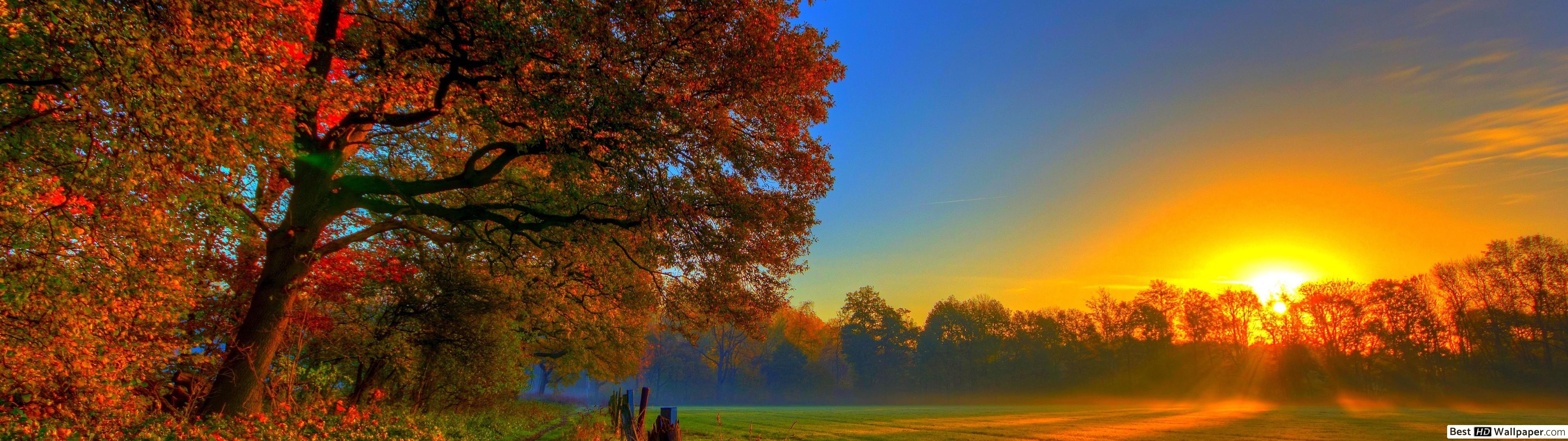 Autumn and sunset HD wallpaper download
