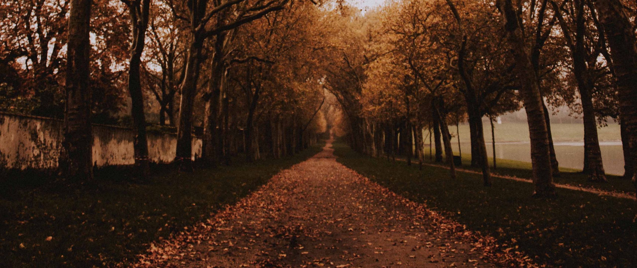 Download wallpaper 2560x1080 park, path, trees, alley, autumn dual wide 1080p HD background