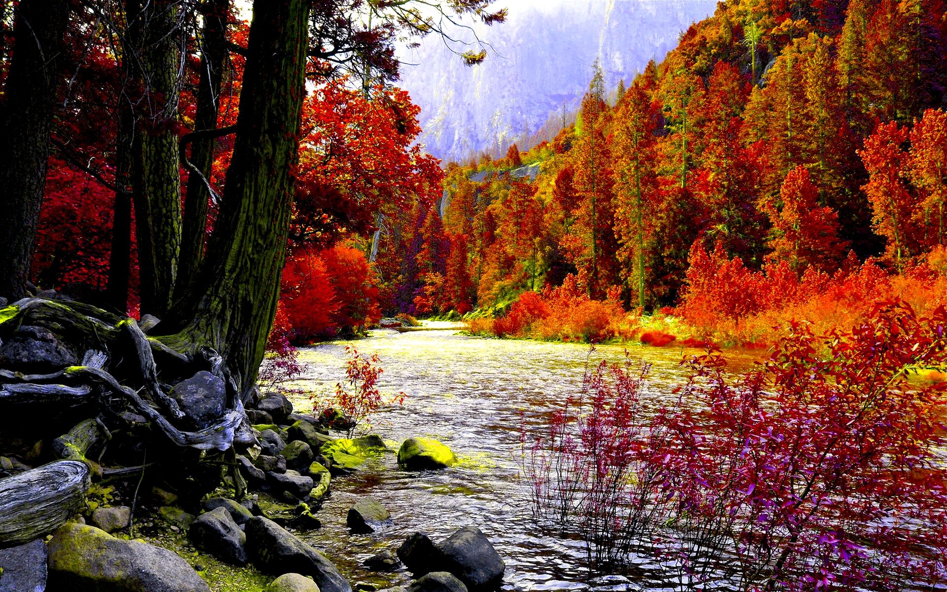 Autumn With River Background HD Wallpaper