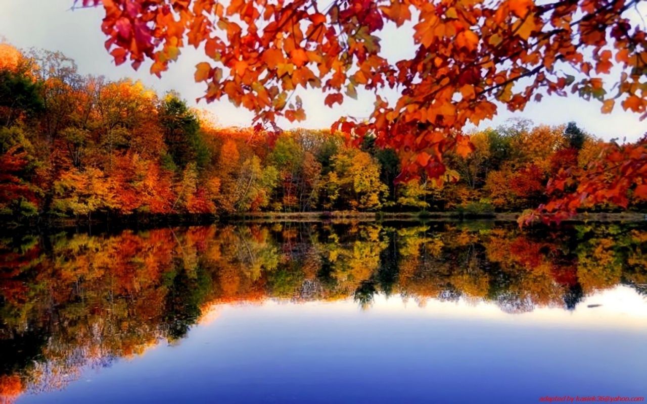 autumn river wallpaper