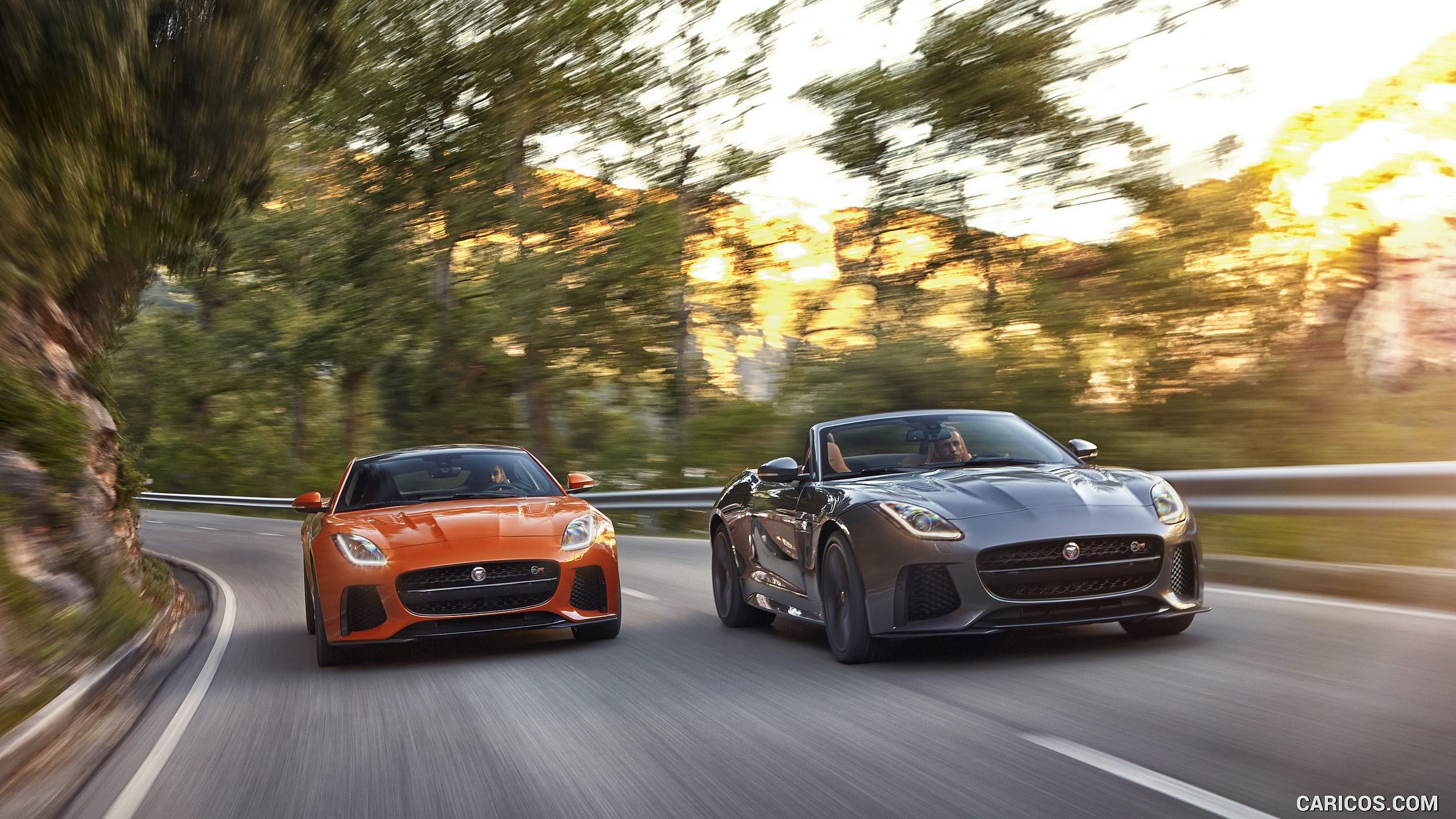 Jaguar F TYPE SVR Coupe And Convertible. HD Wallpaper