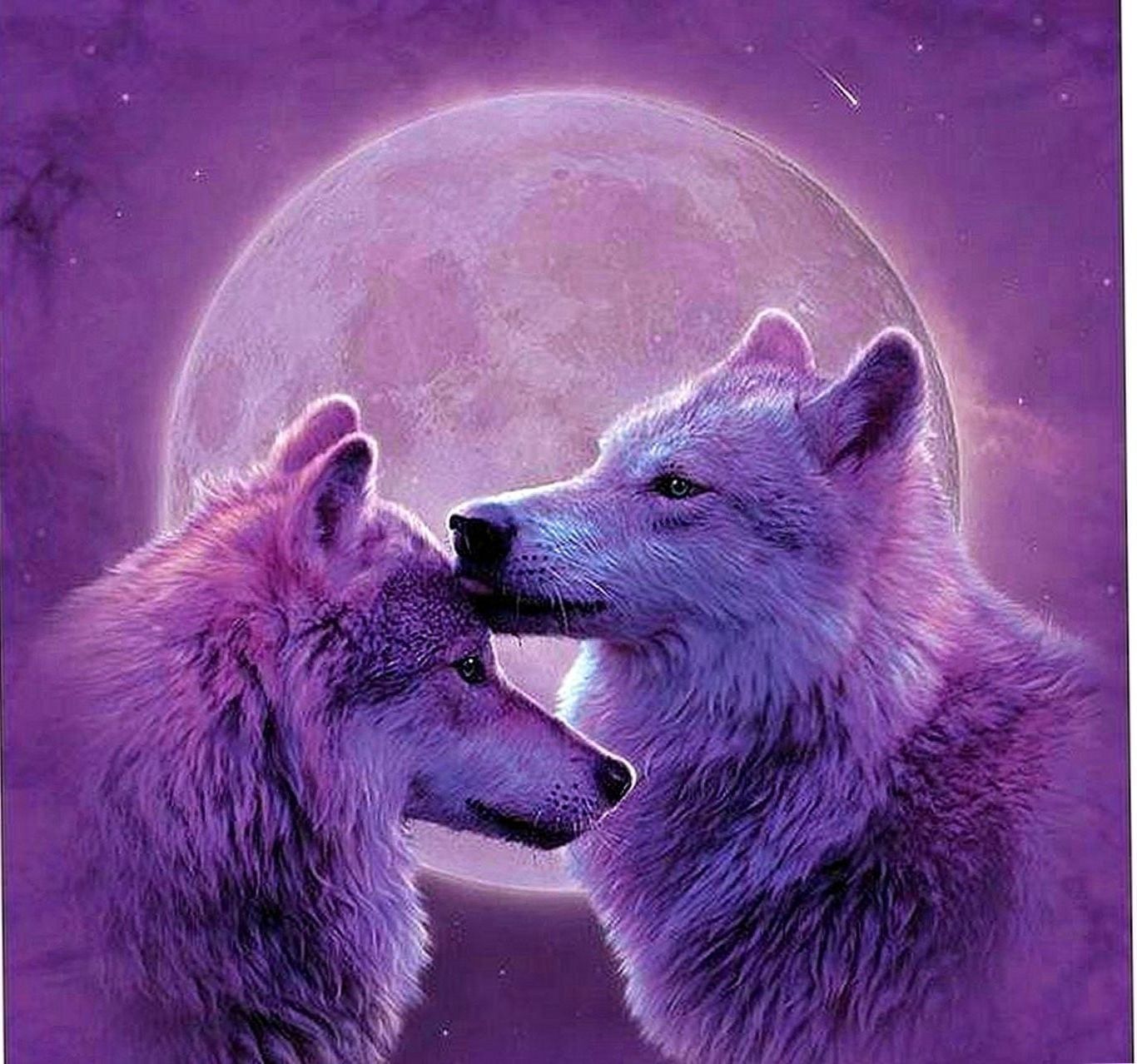 Wolf Lover Wallpaper Wallpaper.Pro