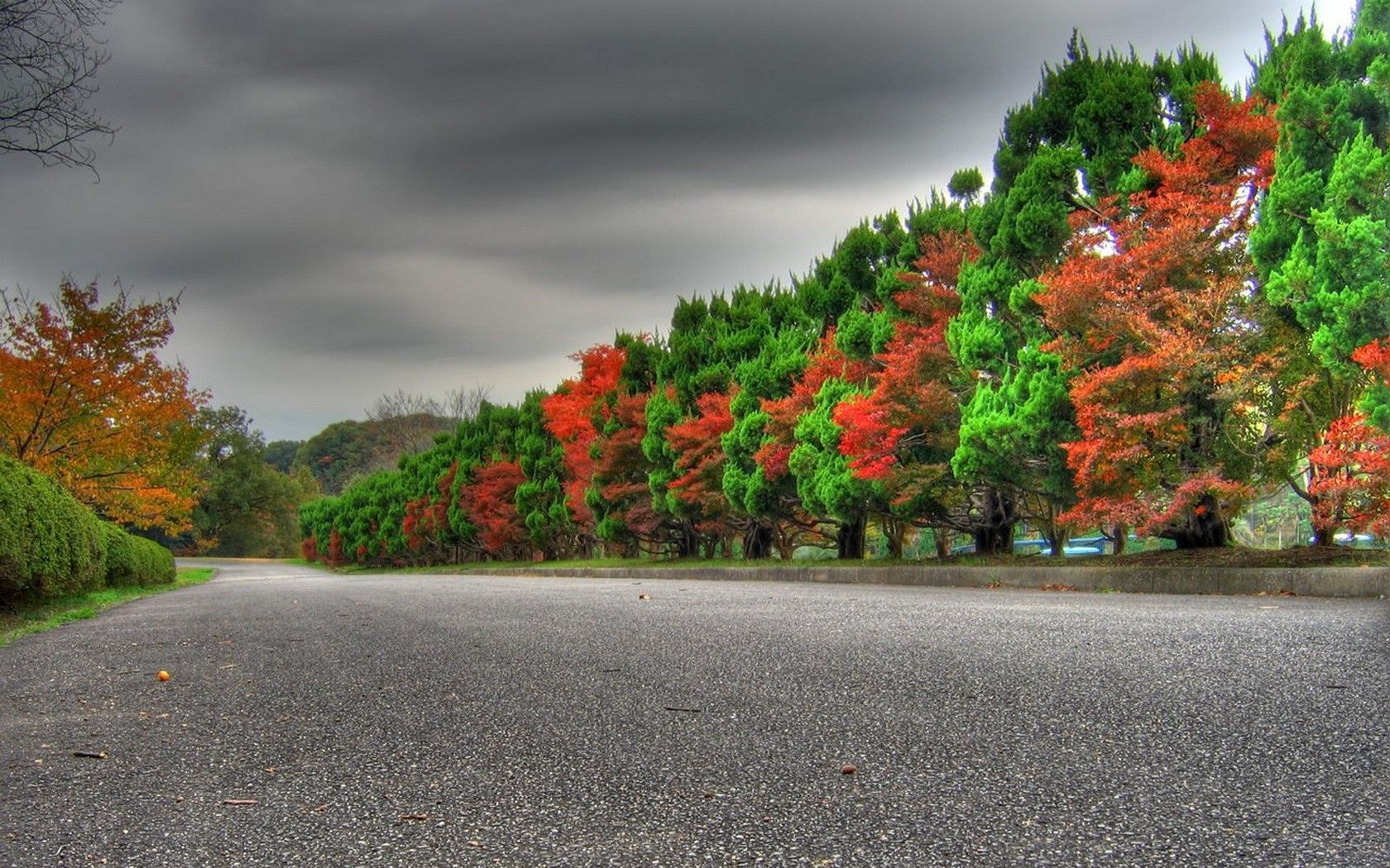 Autumn roadside. Nature picture, Blurred background photography, HD nature wallpaper