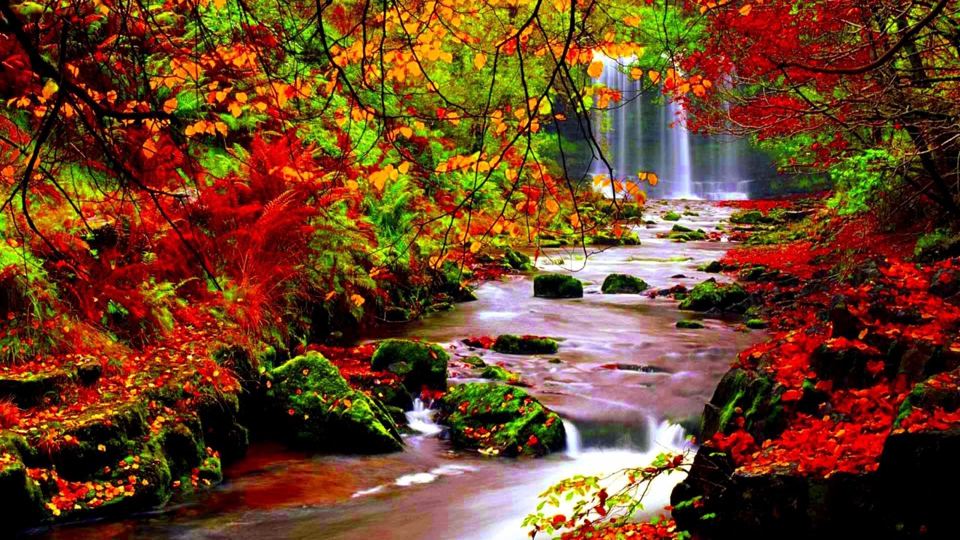 Free download Autumn River Wallpaper Full HD Autumn River Wallpaper Fall [2560x1600] for your Desktop, Mobile & Tablet. Explore Fall Pics Wallpaper. Fall Wallpaper Background, Free Fall Wallpaper, Fall