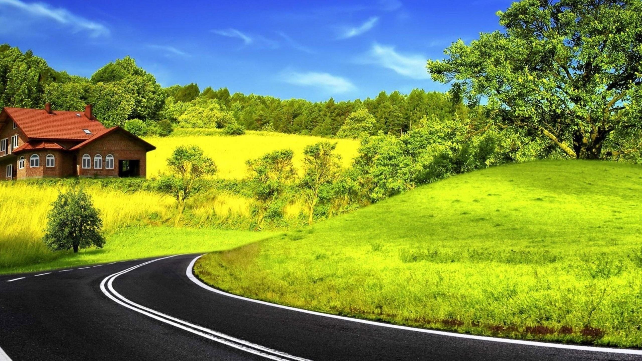 Roadside 4K wallpaper for your desktop or mobile screen free and easy to download