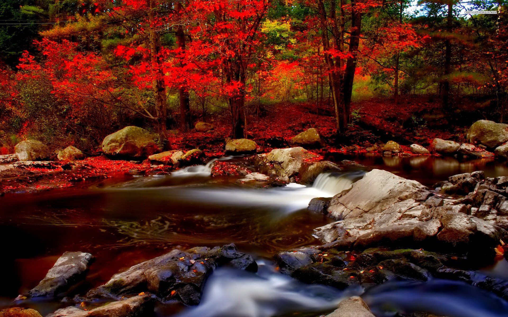 Hd Autumn River Background HD Wallpaper