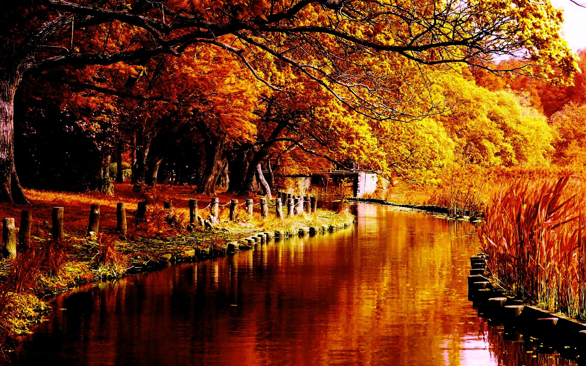 Free download Autumn River HD Wallpaper [1920x1200] for your Desktop, Mobile & Tablet. Explore Autumn 2018 Wallpaper. Autumn 2018 Wallpaper, Autumn Background, Autumn Wallpaper