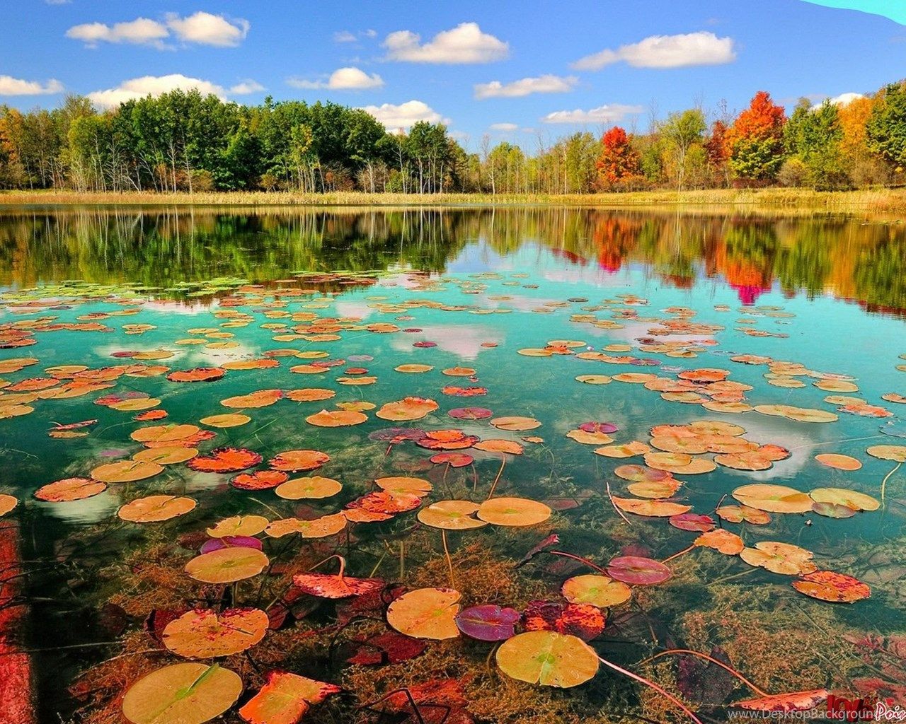 Autumn River Wallpaper HD Resolution Desktop Background