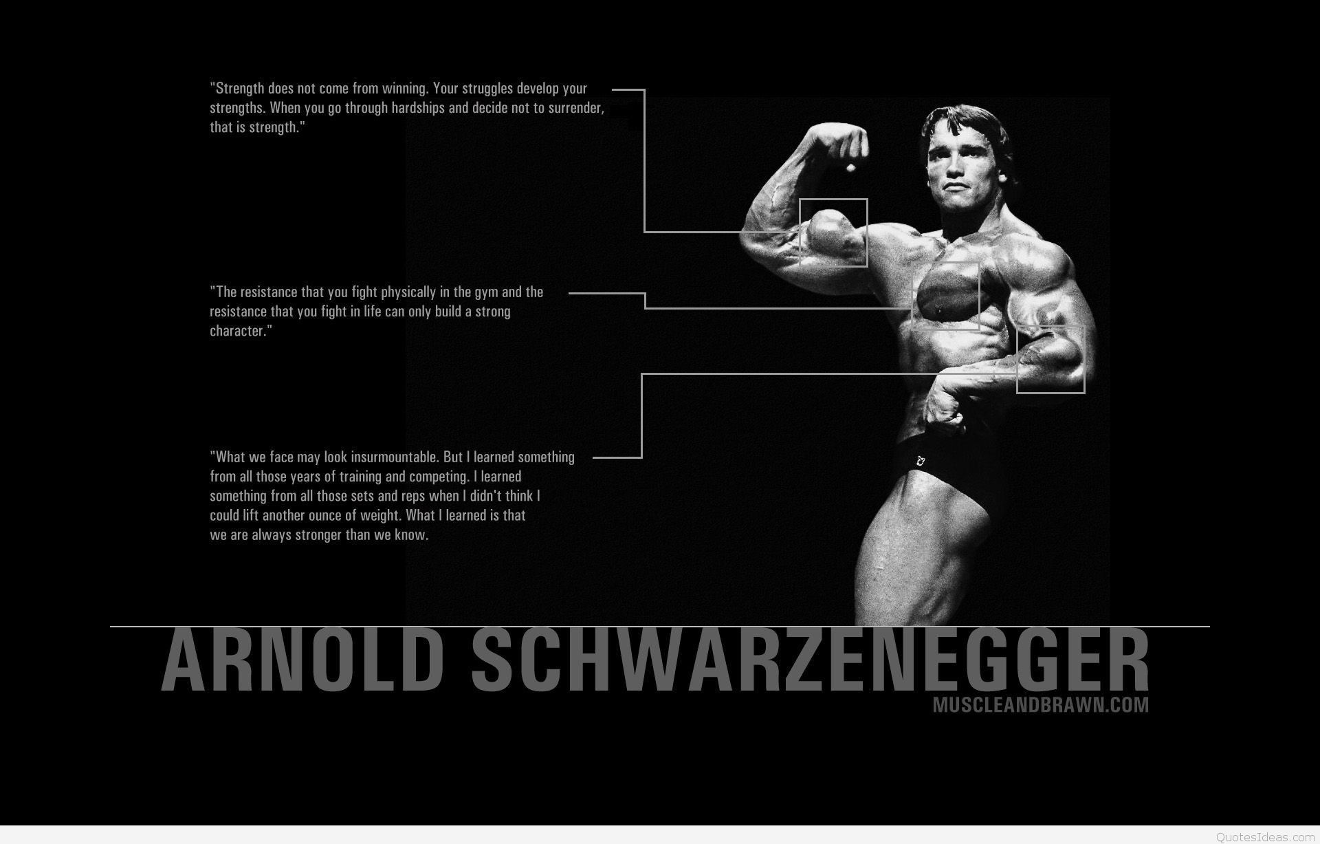 Conquer Arnold wallpaper bodybuilding quote