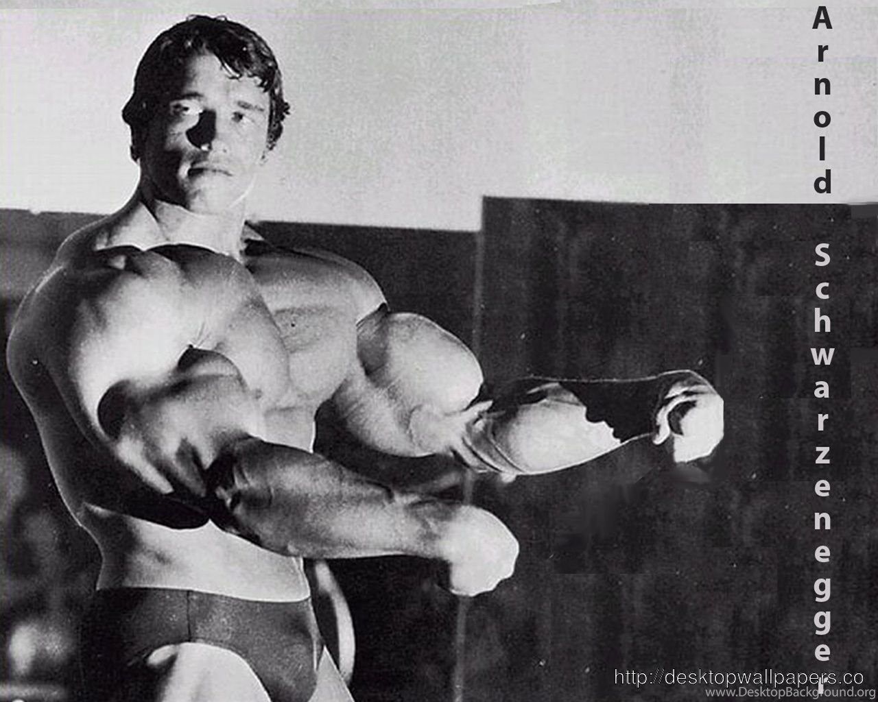 Arnold Schwarzenegger Bodybuilding Wallpaper Posters And Picture. Desktop Background