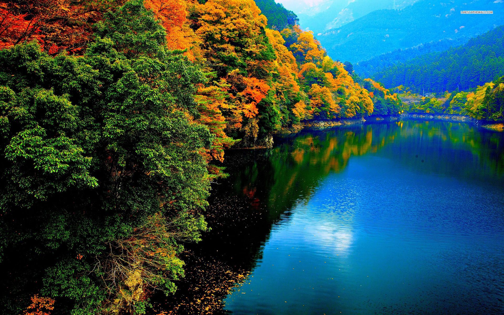 Autumn Trees & Blue River desktop PC and Mac wallpaper