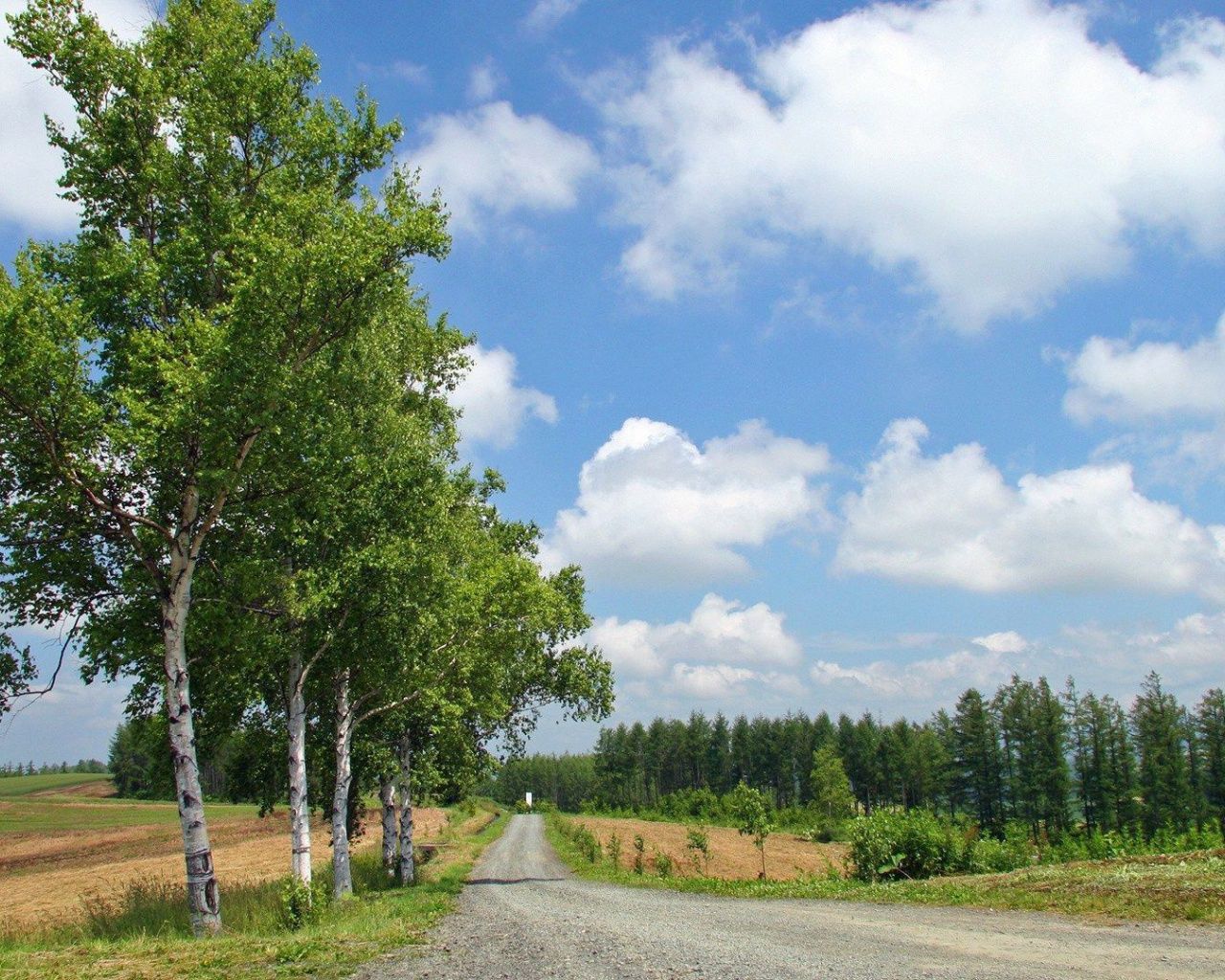 Trees Road Side Fields Clouds desktop PC and Mac wallpaper