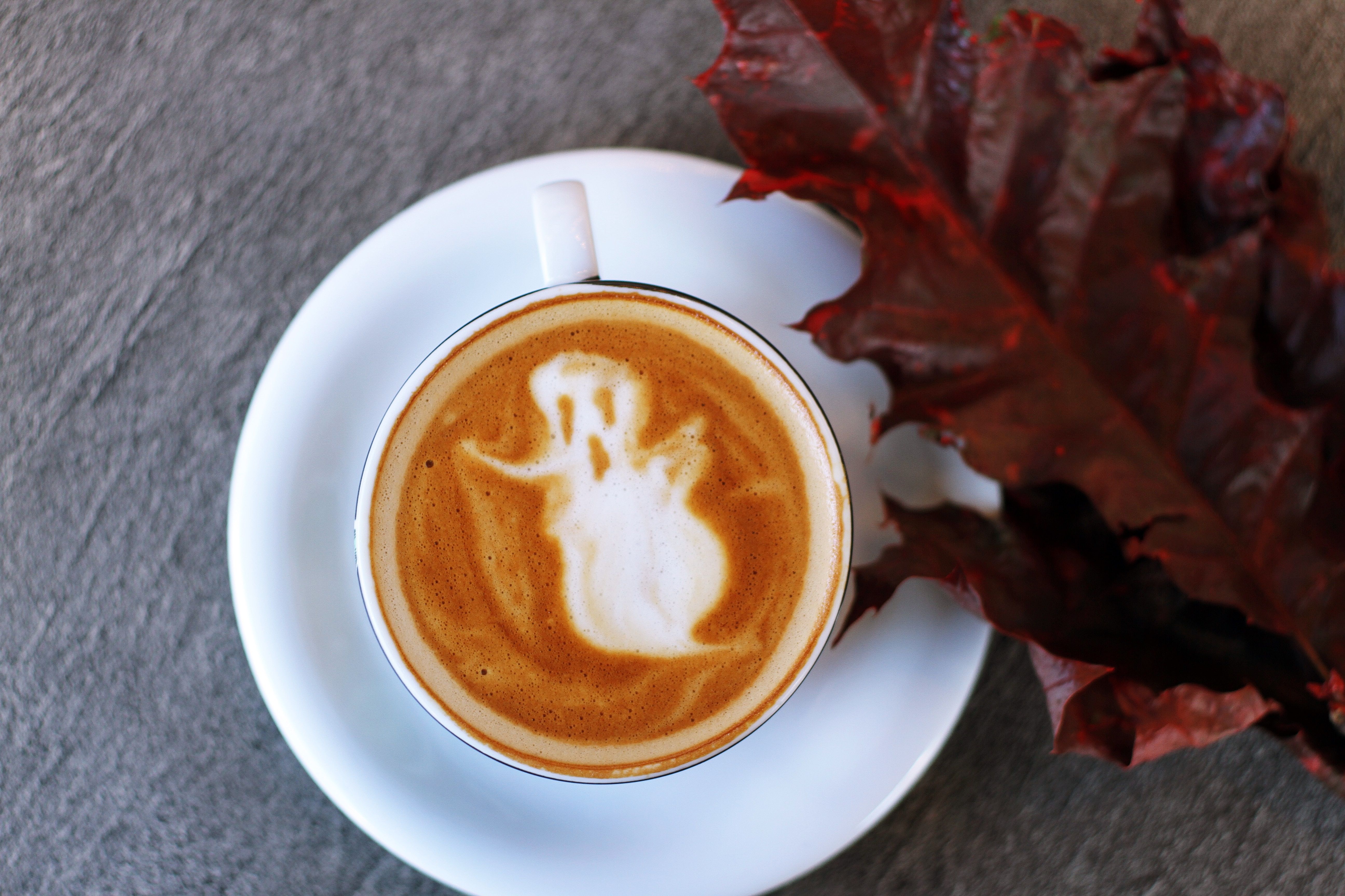 5184x3456 #funny background, #autumn, #fall, #halloween, #ghost, # wallpaper, #warm drink, #latte, #funny wallpaper, #mug, #espresso, #Creative Commons image, #october, #spooky, #coffee shop, #cup, #latte art, #coffee. Mocah.org HD Desktop