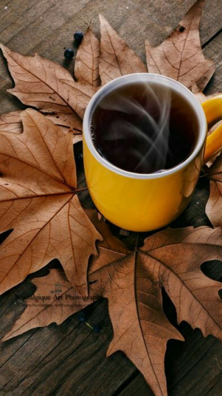 Mobile wallpaper. Autumn coffee, Coffee cafe, Coffee photography