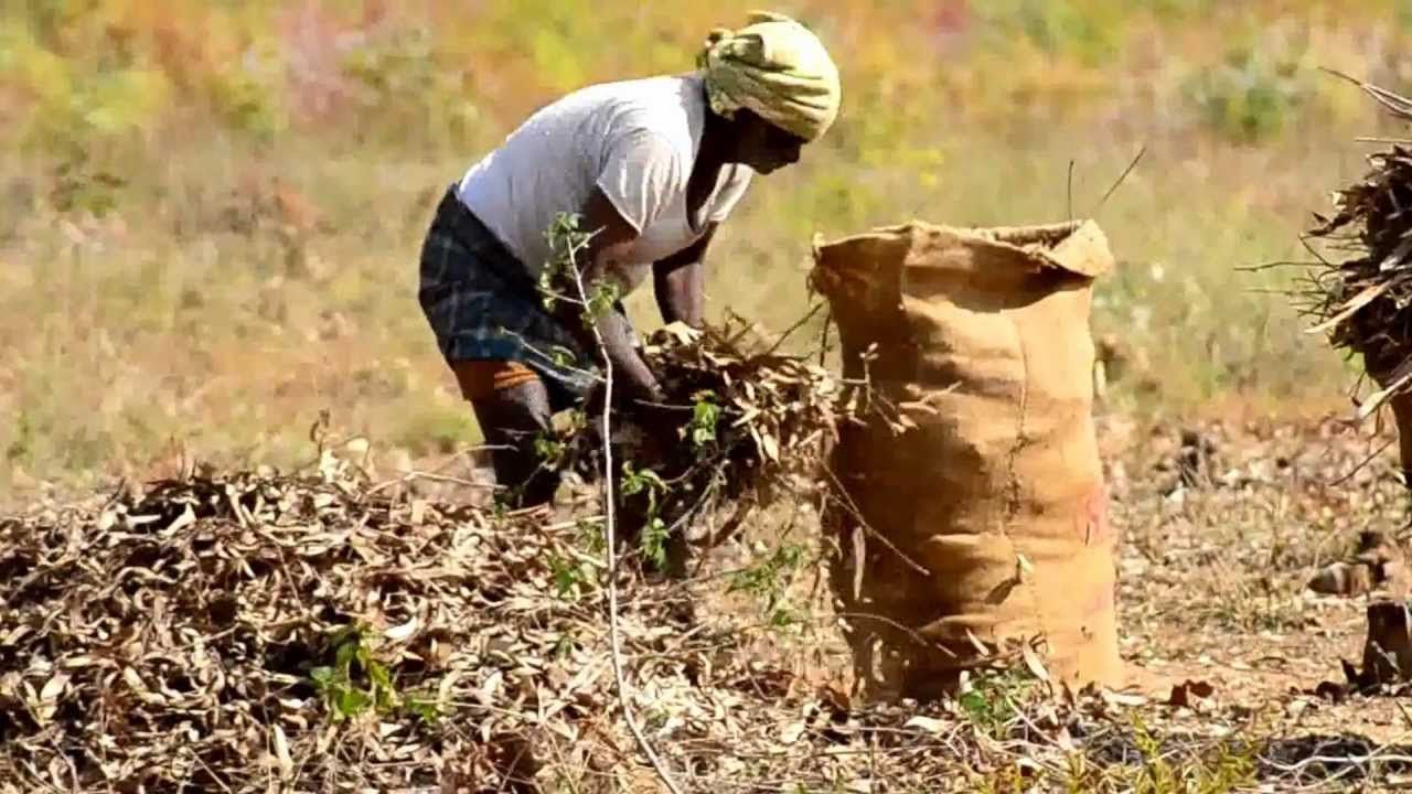 Indian Farmer HD Photo Farmer 2018