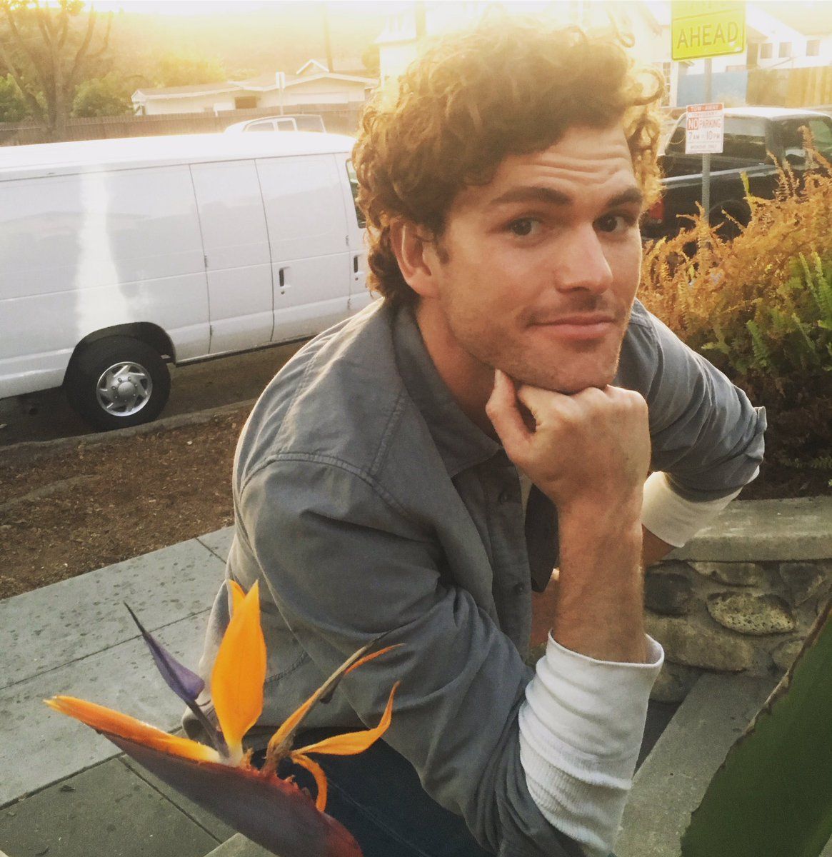 Vance Joy flower is a 'bird of paradise' them in my garden way back when. I'm 30 now long time ago ❤️ also you can vote for