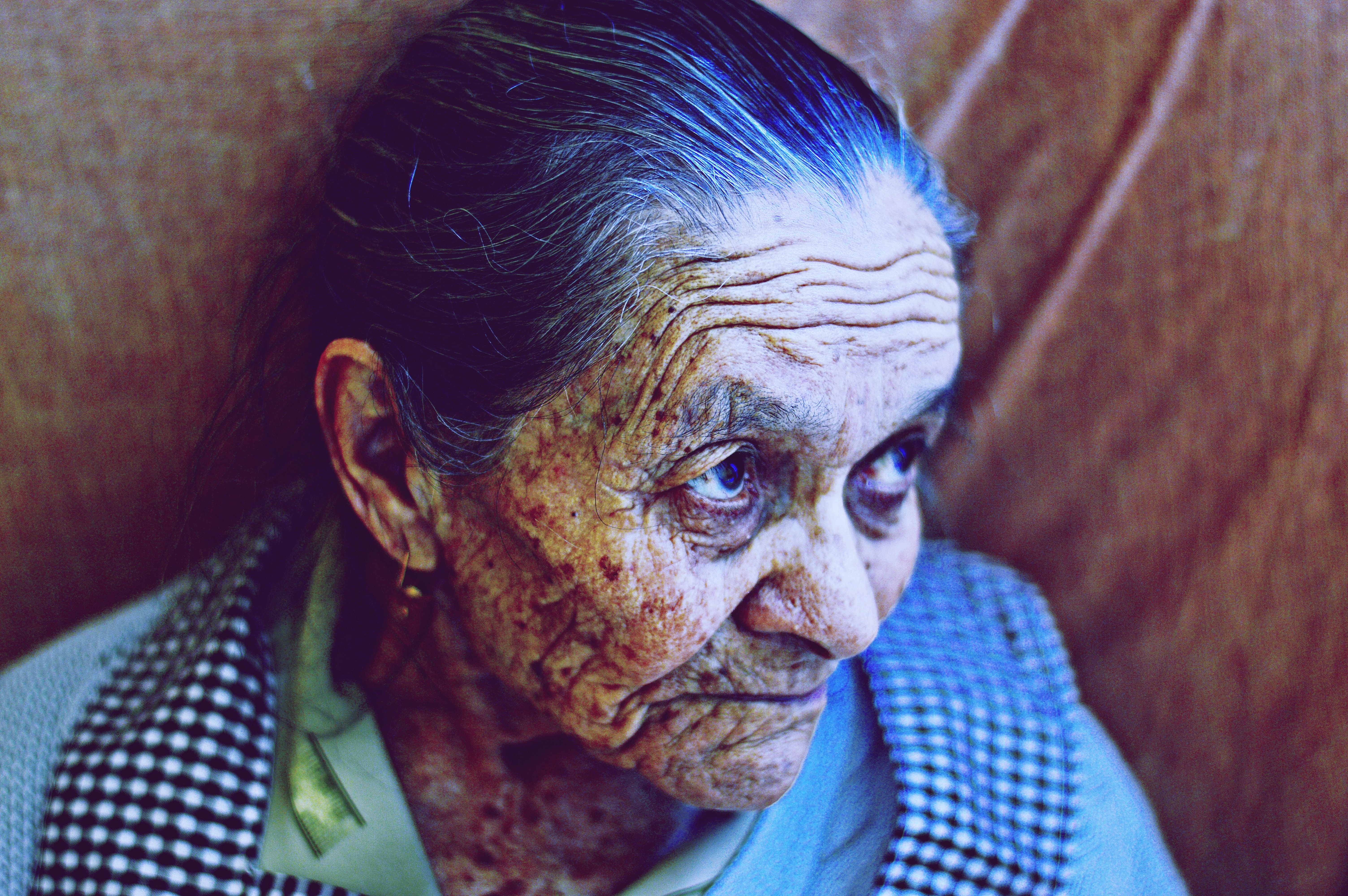 6016x4000 #grandmother, #elderly, #tree, #old day, #wisdom, #old, #indian, #méxico, #wrinkle, #portrait, #diversity, #eye, #person, #age, #face, #nature, #woman, #ismael nieto, #elefant, #year, #Free. Mocah.org HD Wallpaper