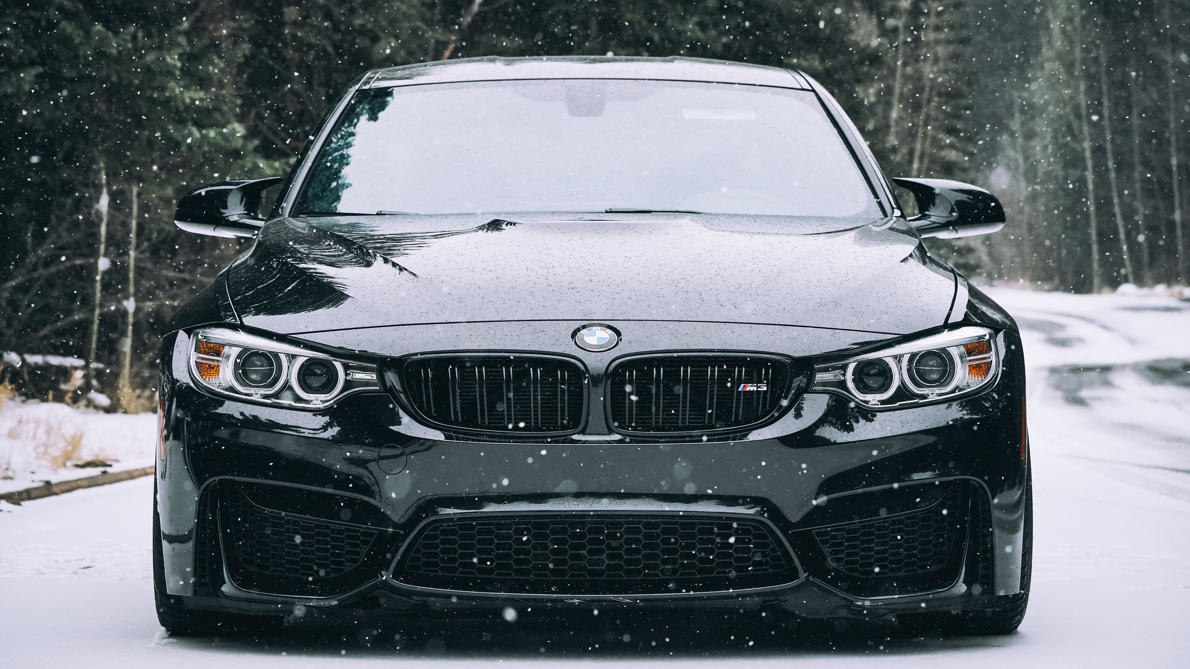 Wallpaper. Cars. photo. picture. bmw, F winter, snow, front view