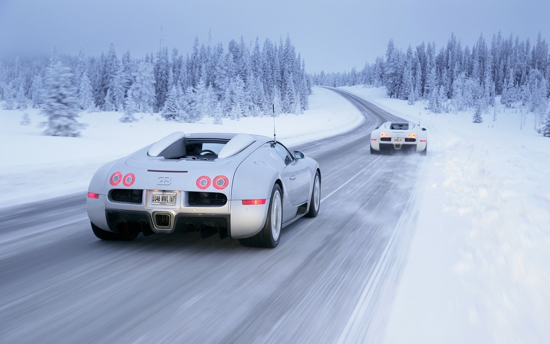 Bugatti Veyron vehicles cars exotic supercar landscapes nature winter snow blizzard trees forests roads track wallpaperx1200