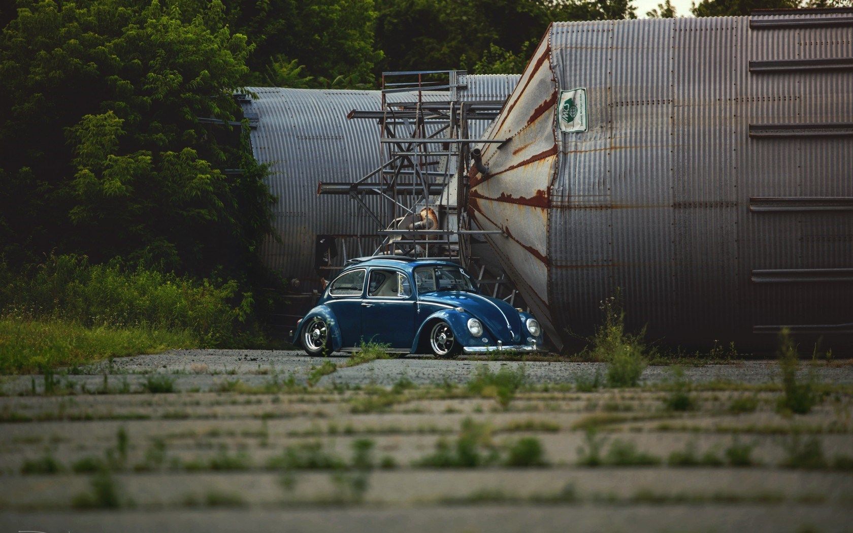 Volkswagen VW Beetle Car